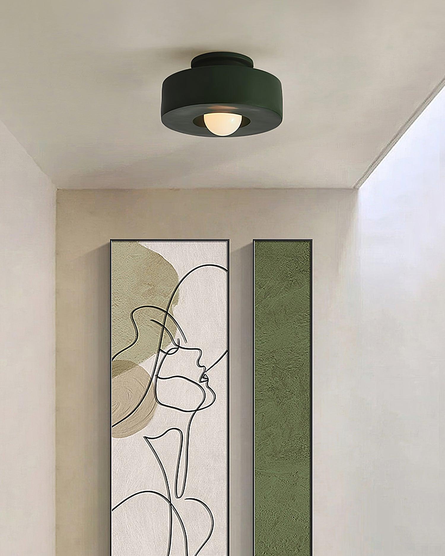 Junowell Ceiling Light