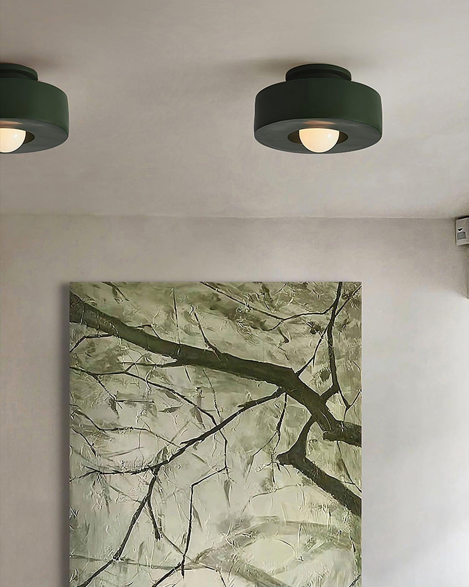 Junowell Ceiling Light