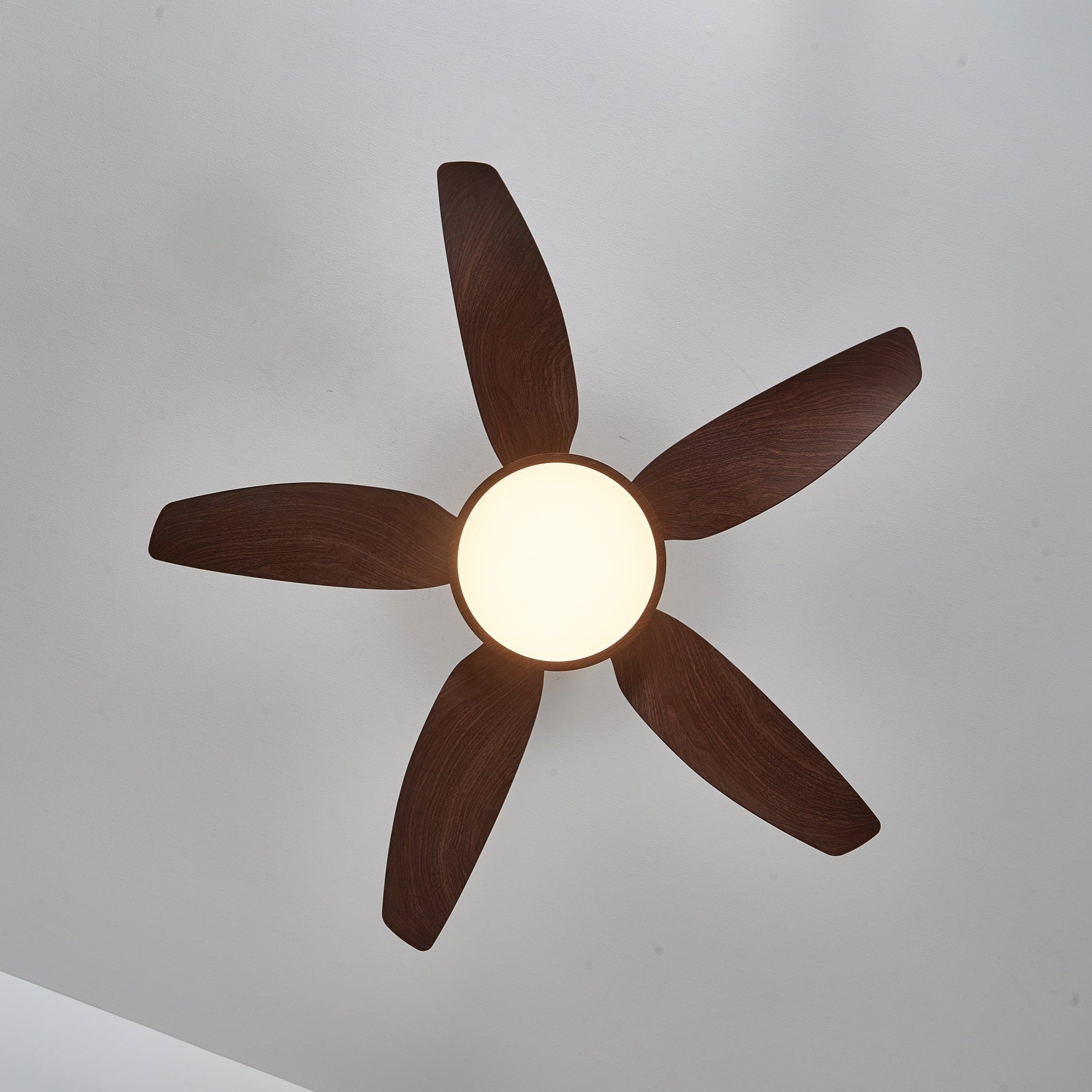 Haleno Ceiling Fan Light