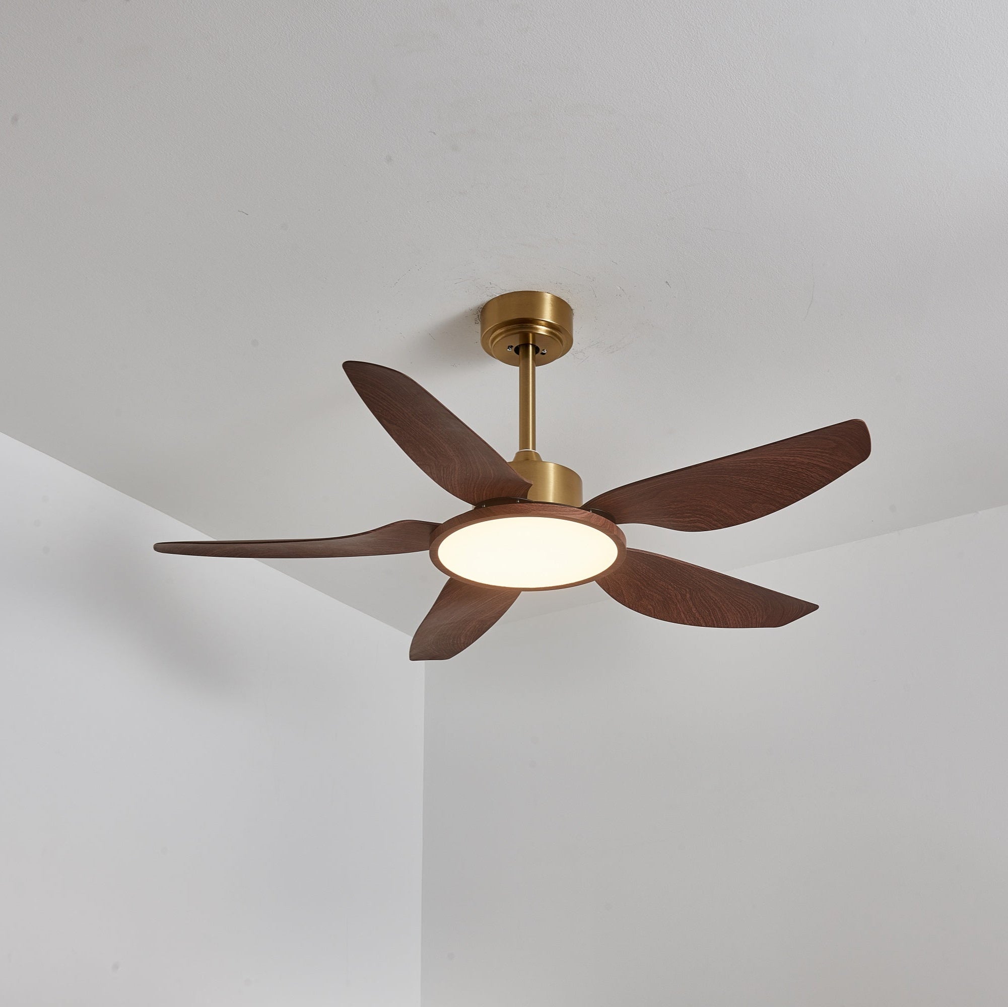 Haleno Ceiling Fan Light