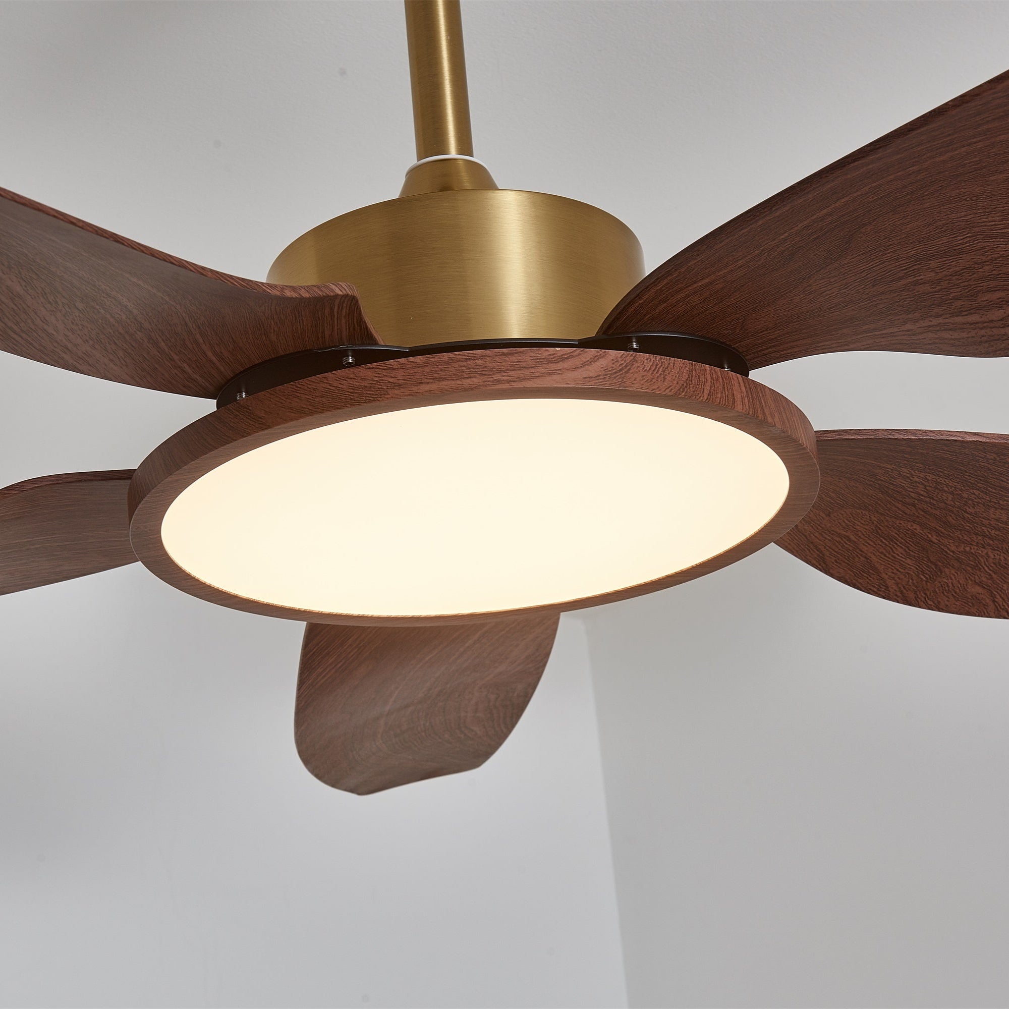 Haleno Ceiling Fan Light