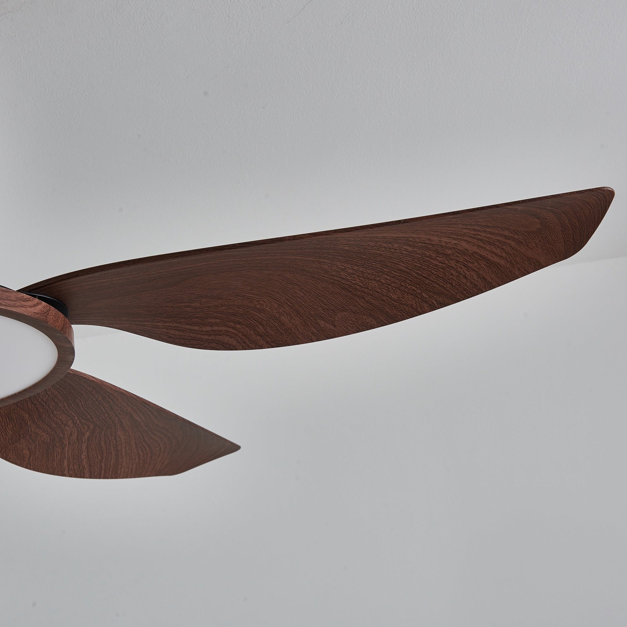 Haleno Ceiling Fan Light