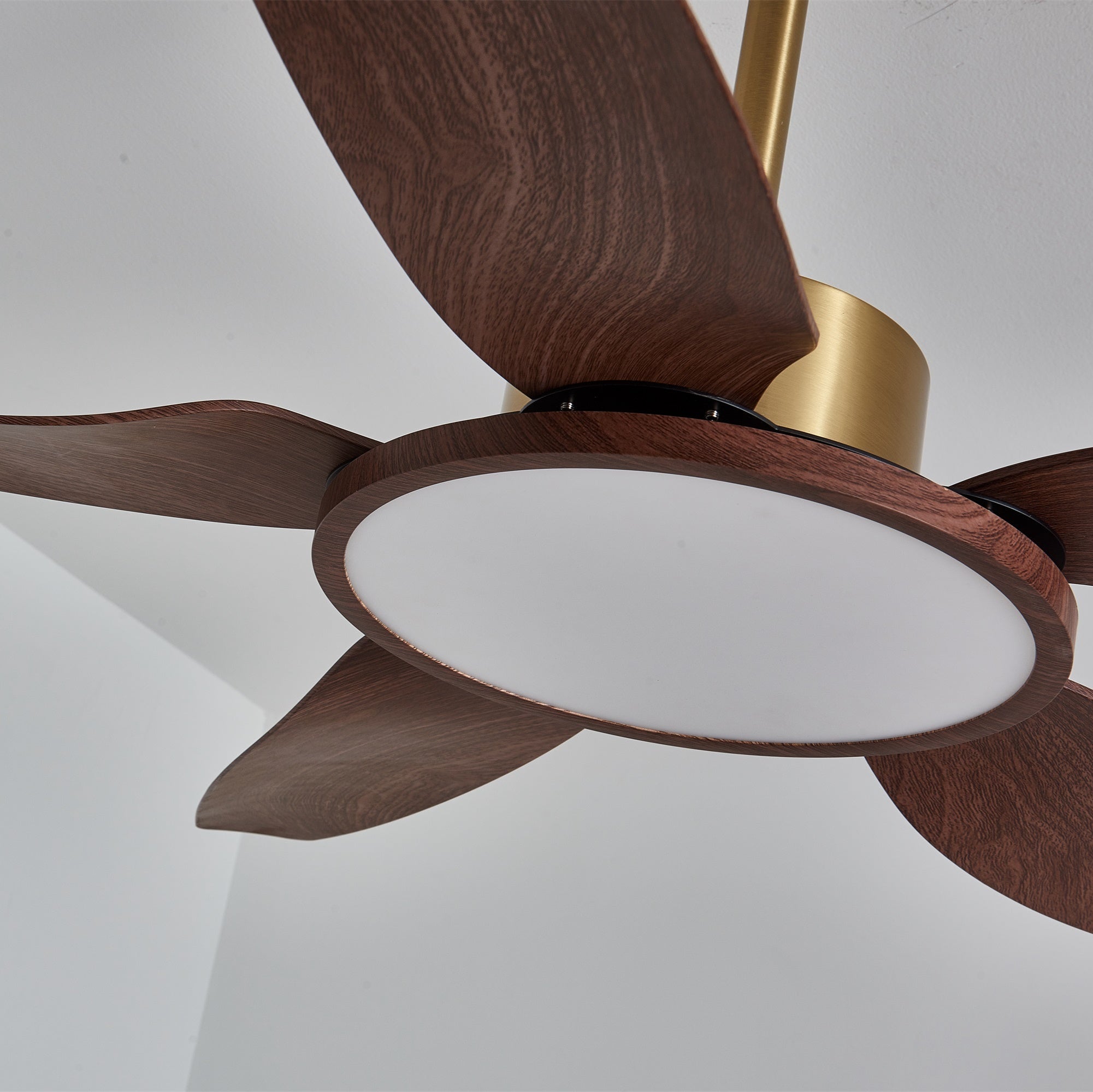 Haleno Ceiling Fan Light