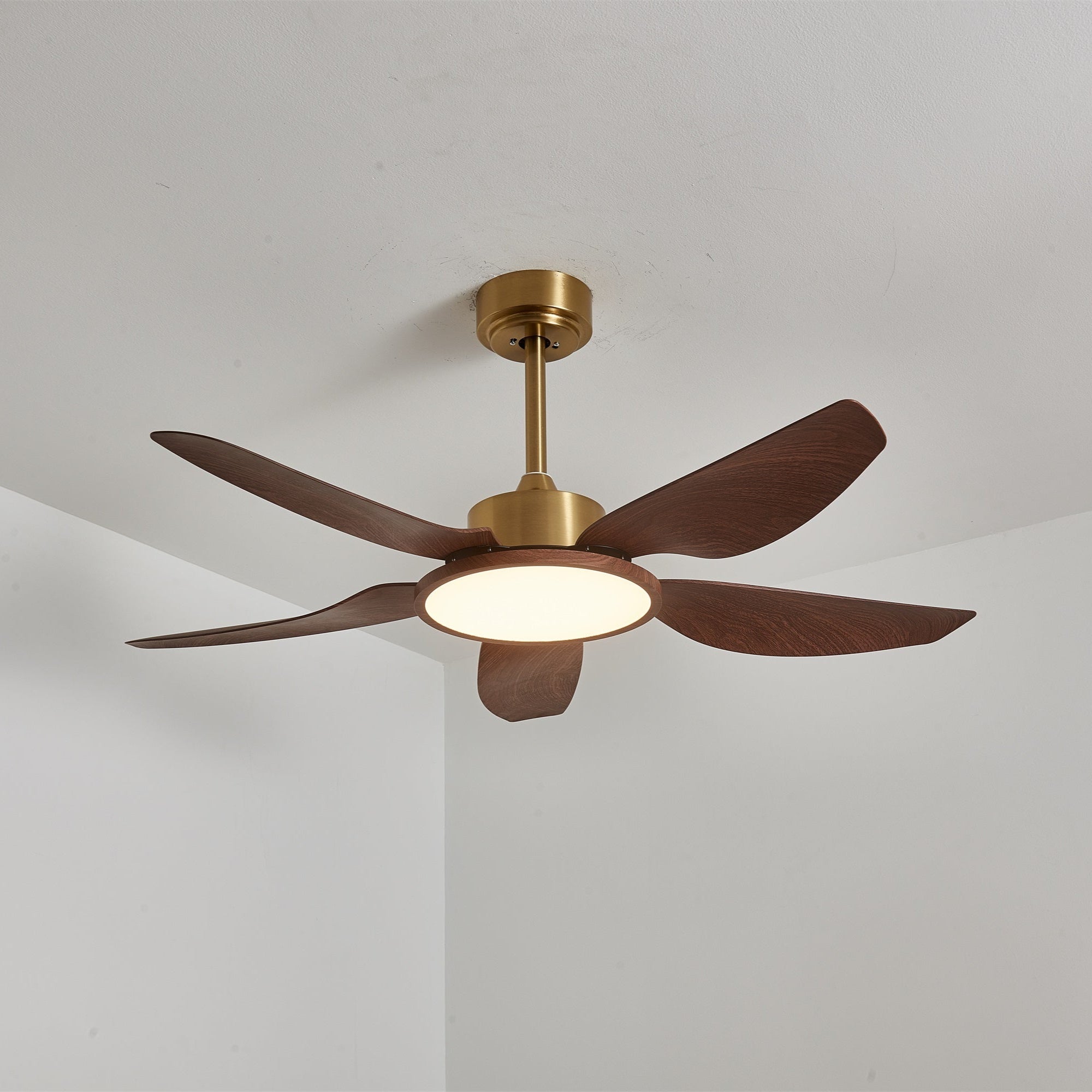 Haleno Ceiling Fan Light