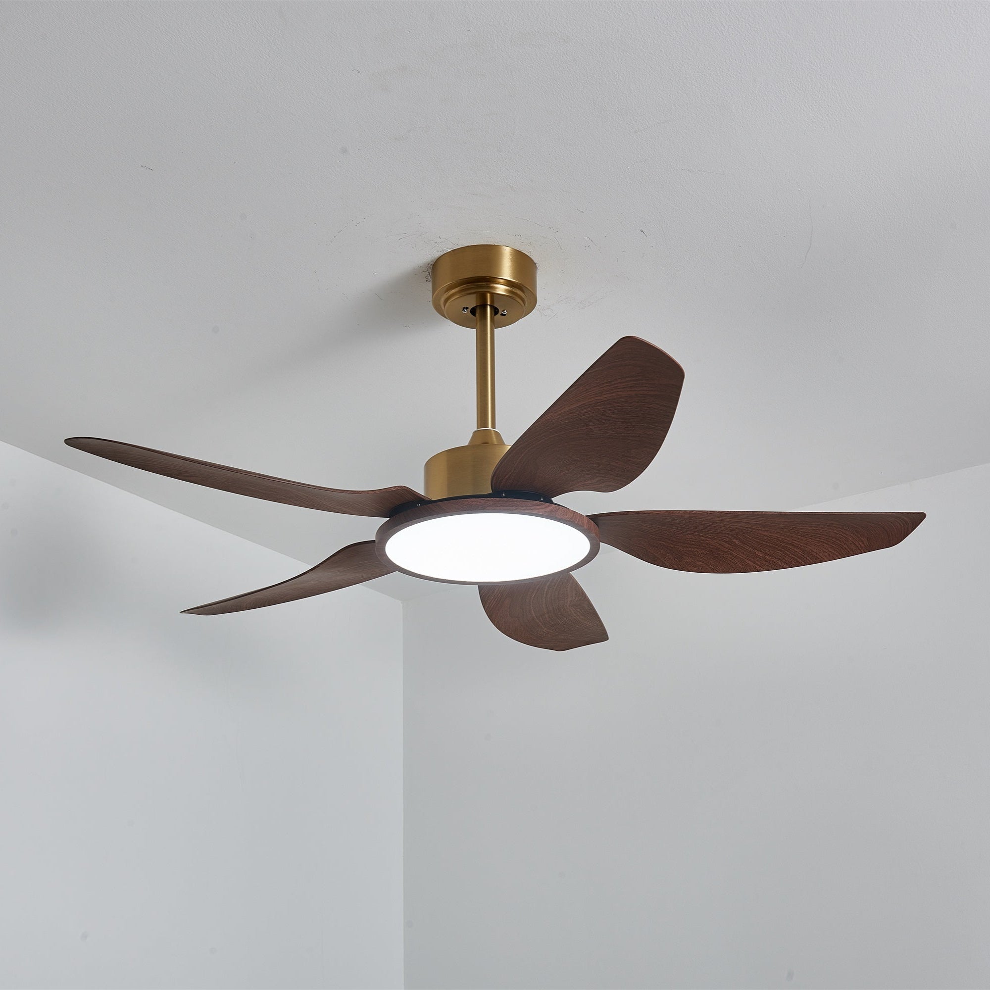 Haleno Ceiling Fan Light