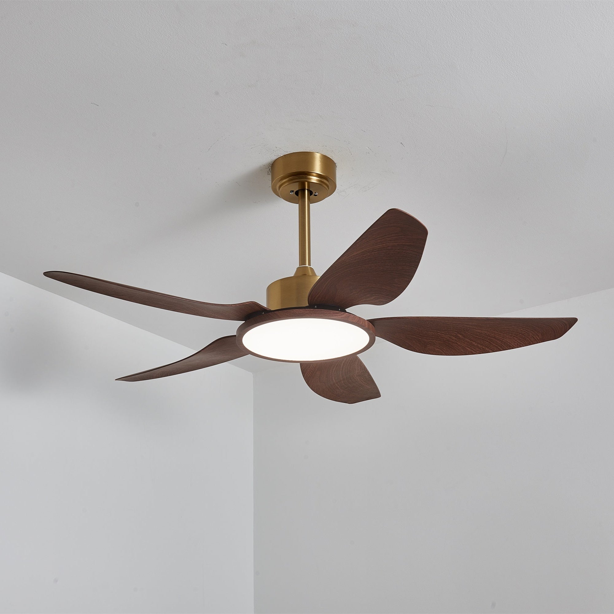 Haleno Ceiling Fan Light