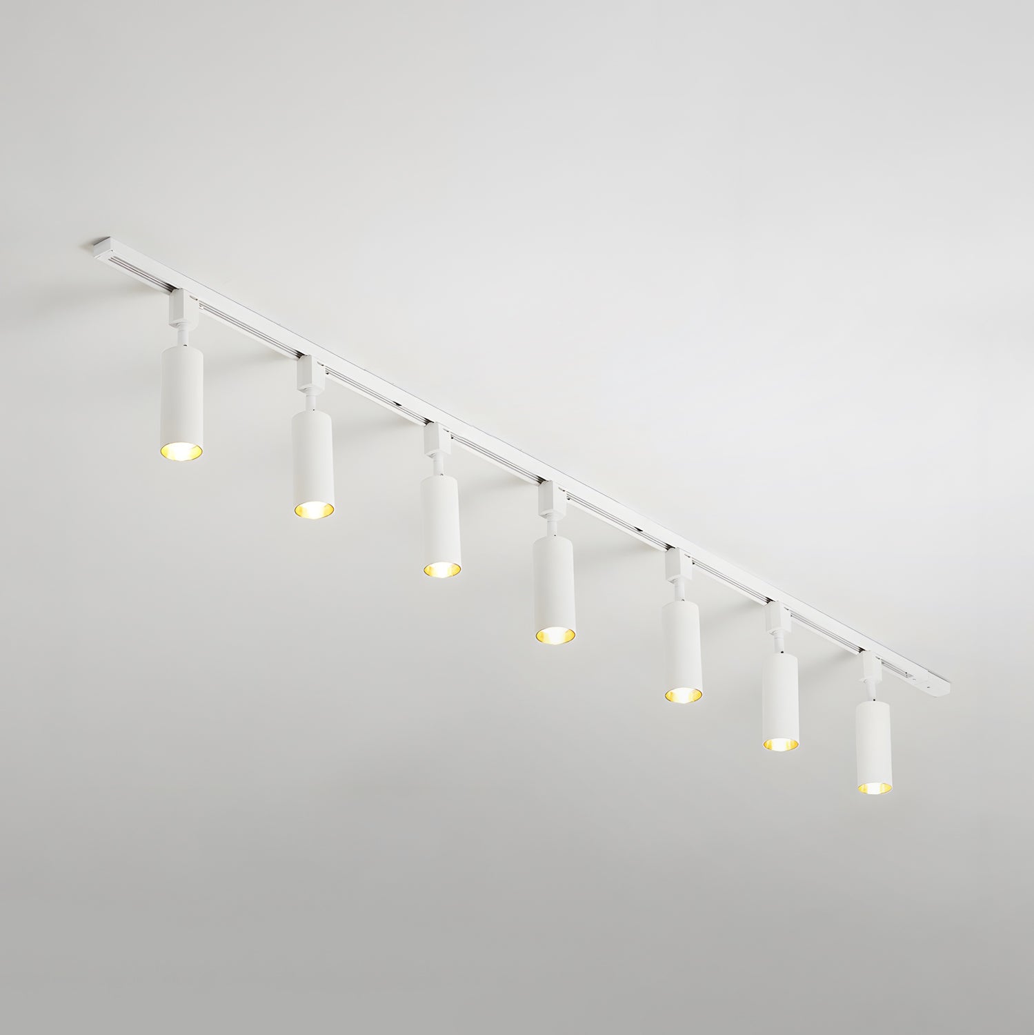 Westbay Track Ceiling Light