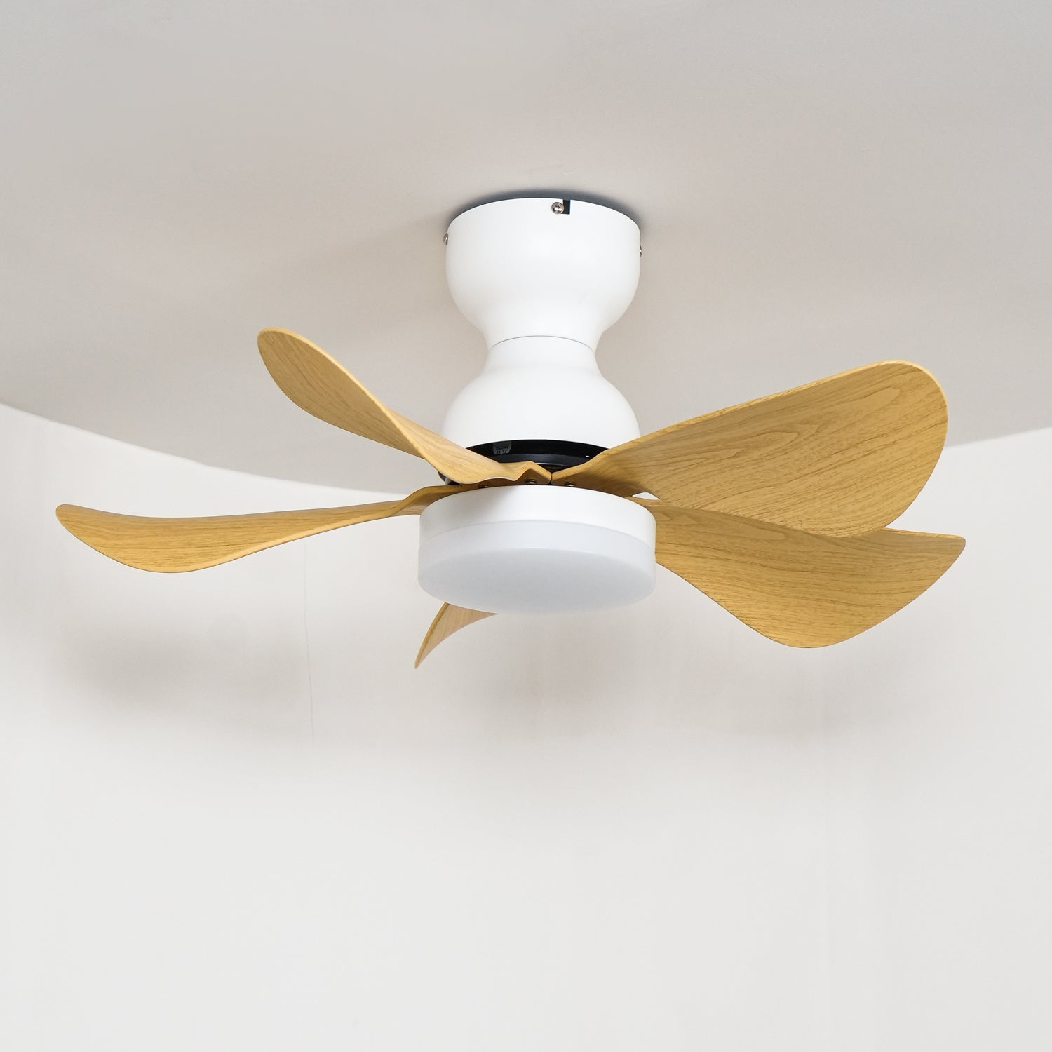 Reefli Ceiling Fan Light