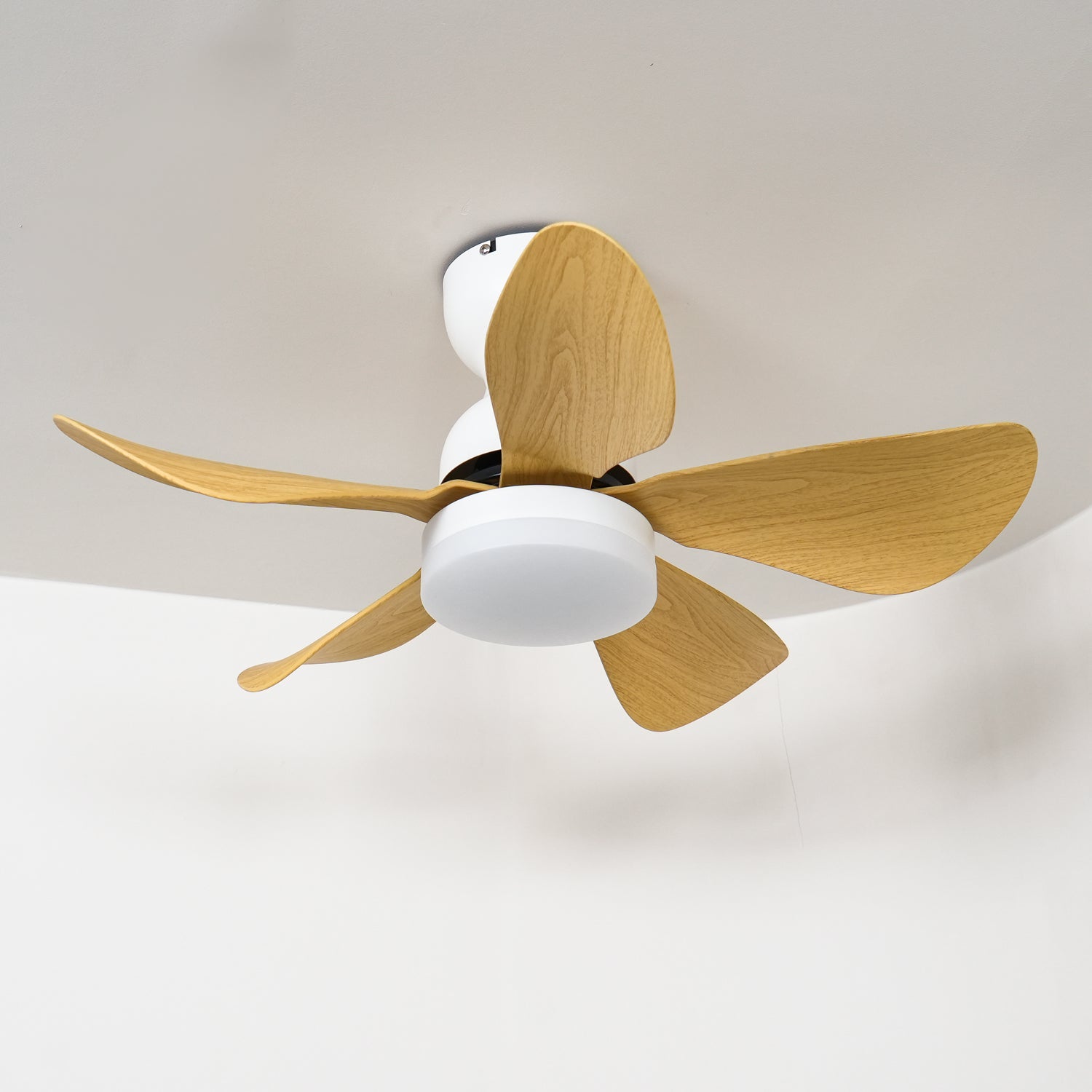 Reefli Ceiling Fan Light