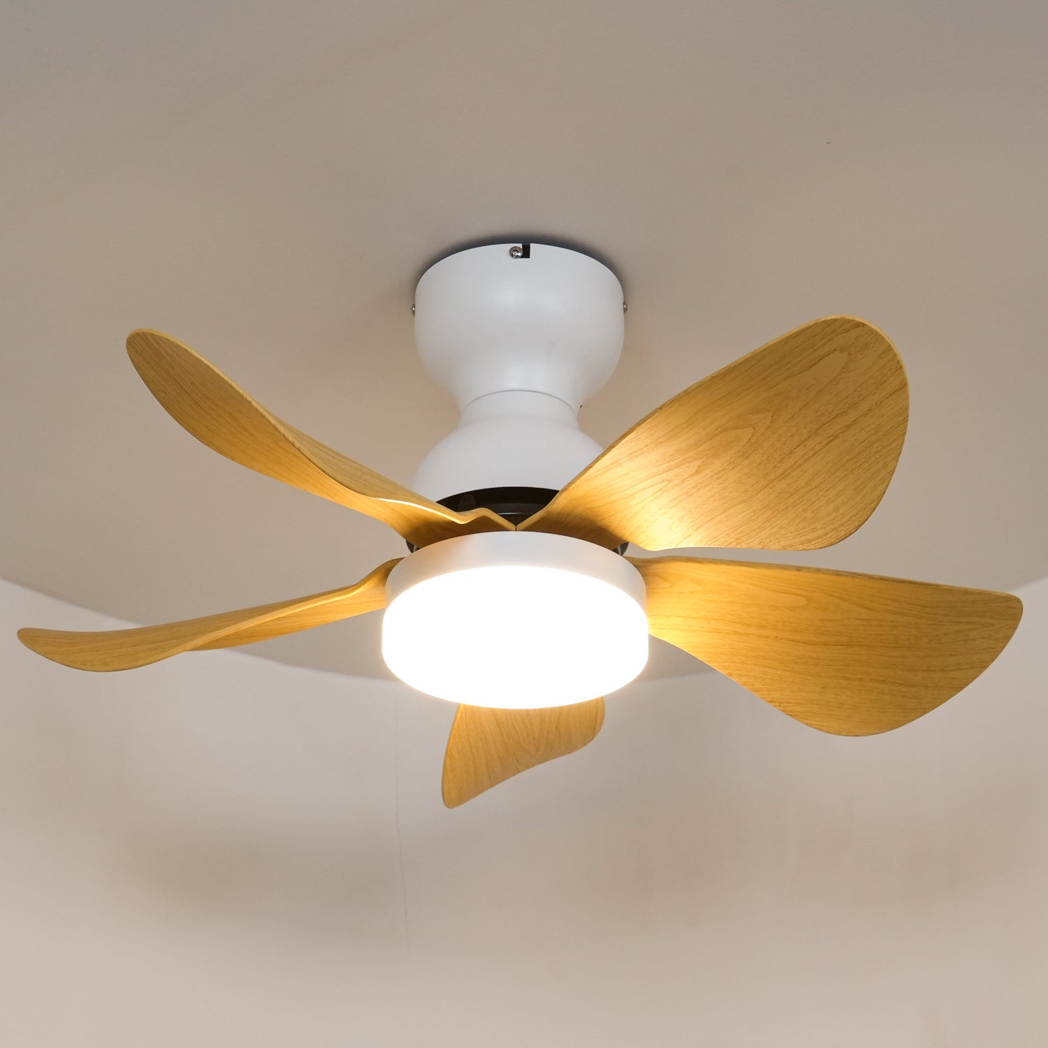 Reefli Ceiling Fan Light