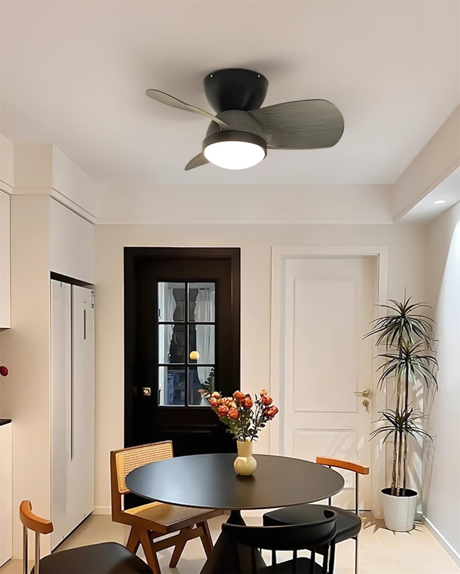 Mavro Ceiling Fan Light