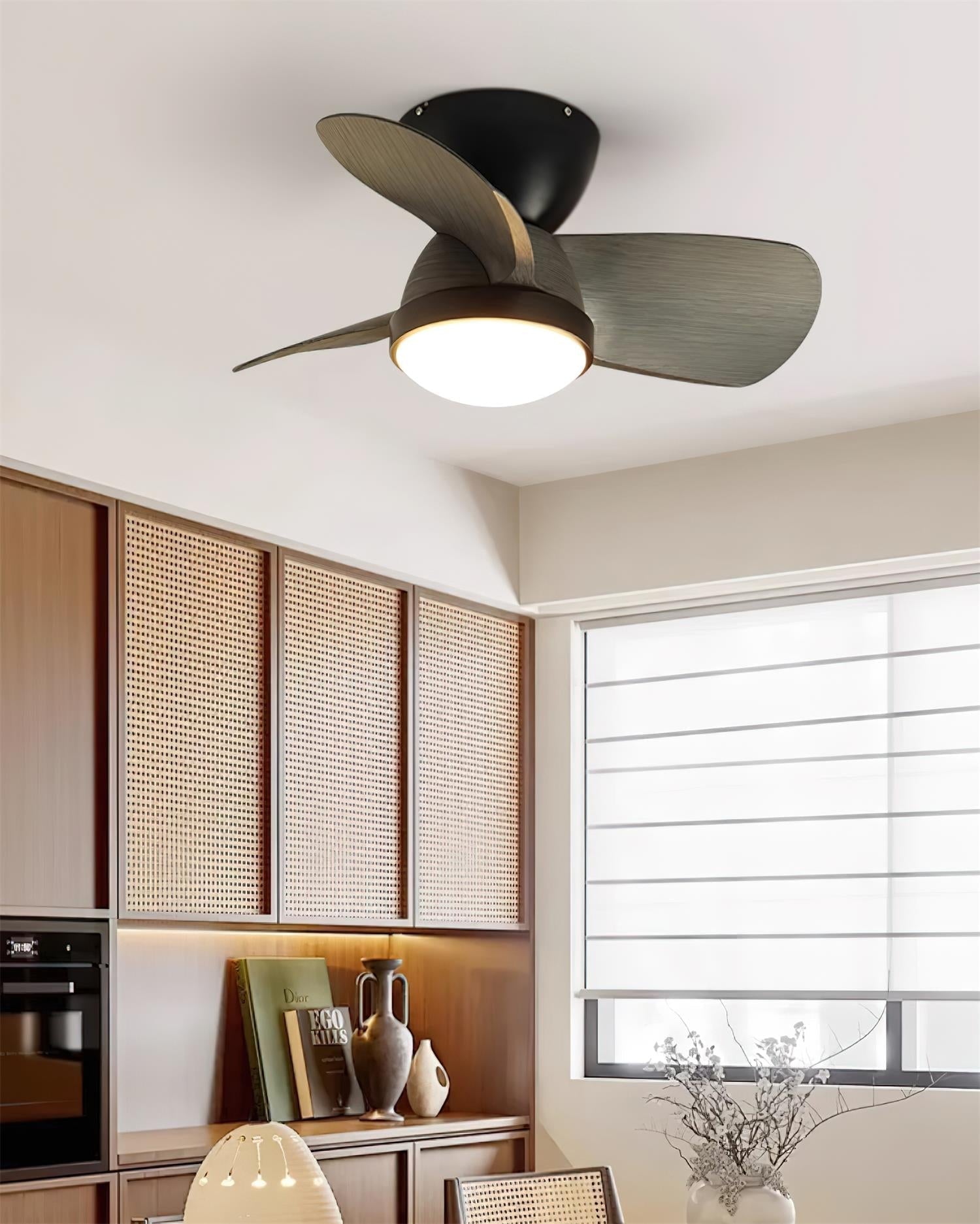 Mavro Ceiling Fan Light