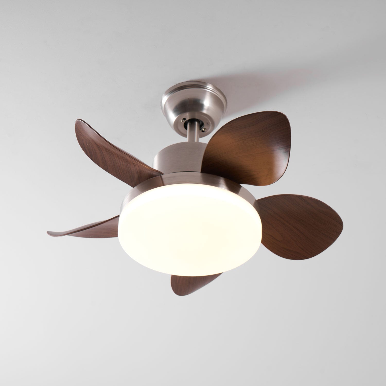 Evone Ceiling Fan Light