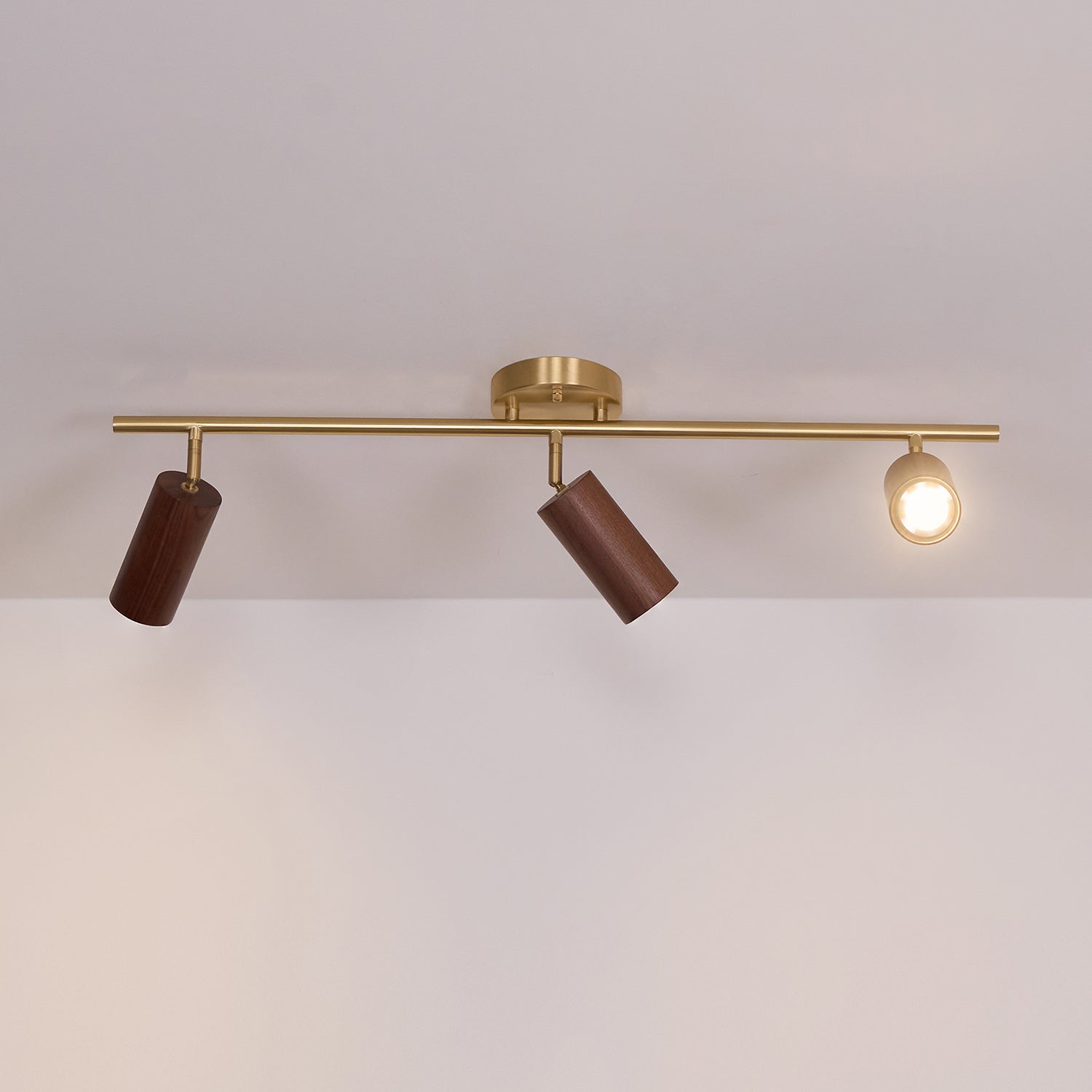 Marlii Ceiling Light