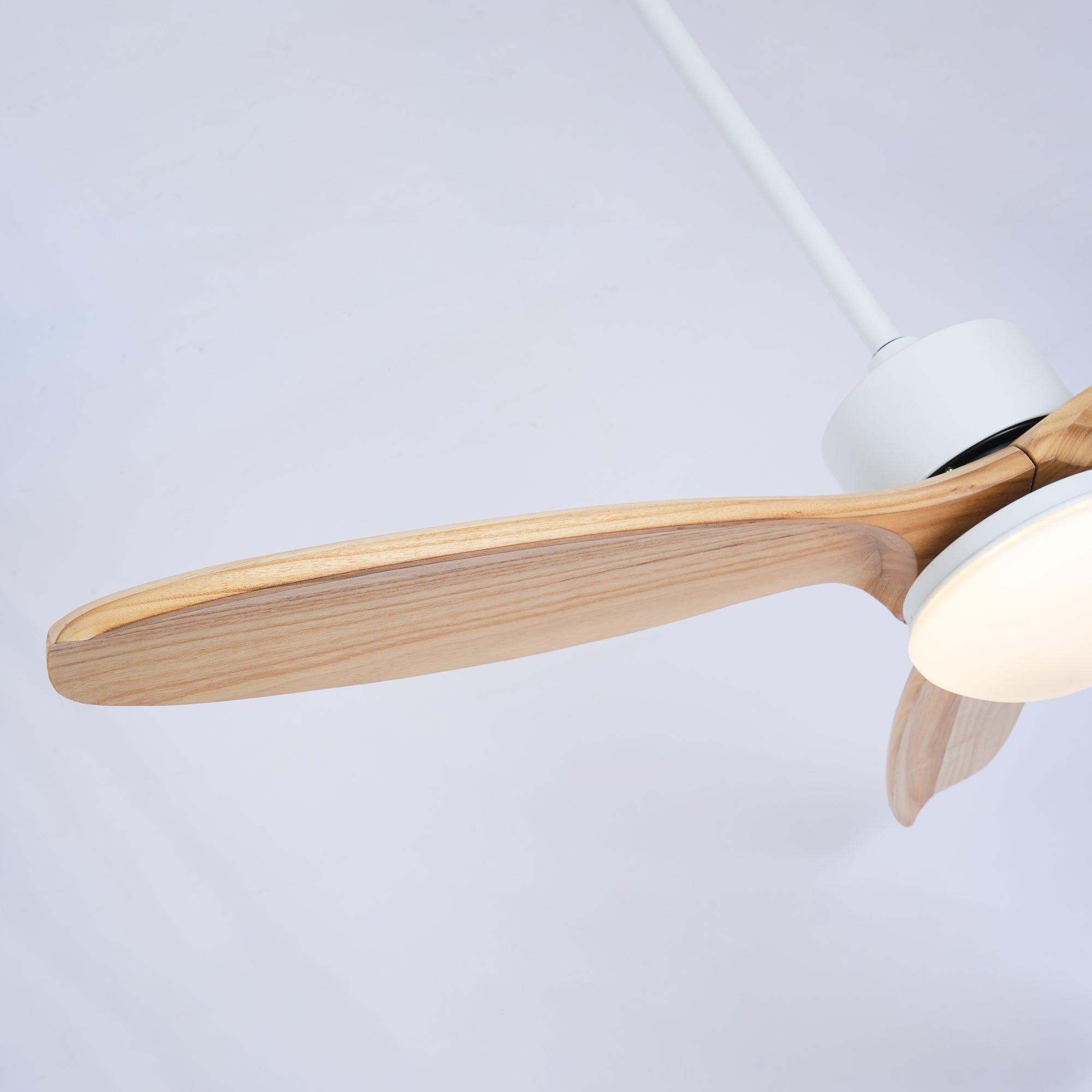 Zelal Ceiling Fan Light