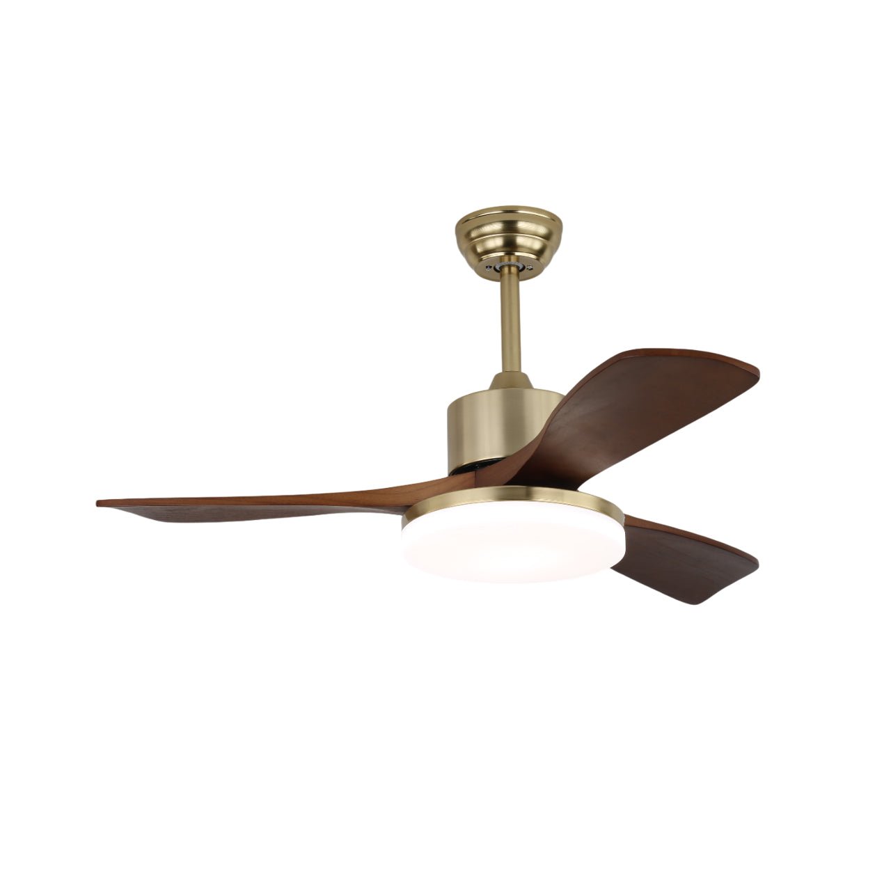 Noamiko Ceiling Fan Light