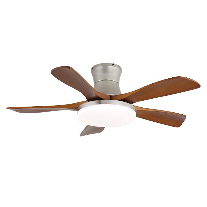 Zelon Ceiling Fan Light