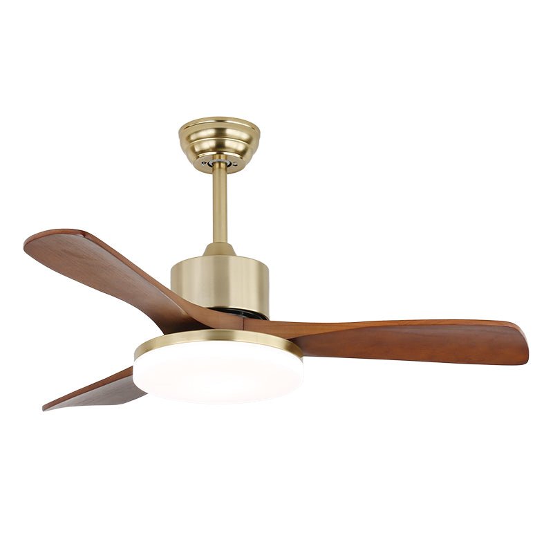 Zelon Ceiling Fan Light