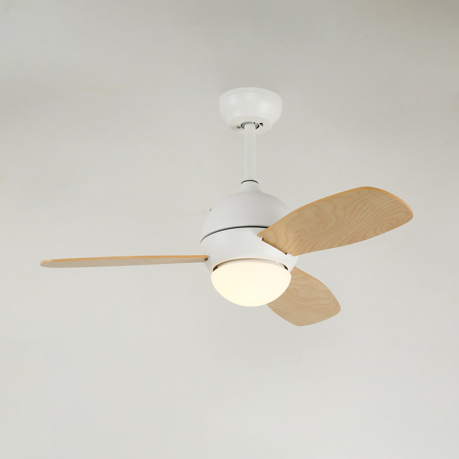 Lanoror Ceiling Fan Light