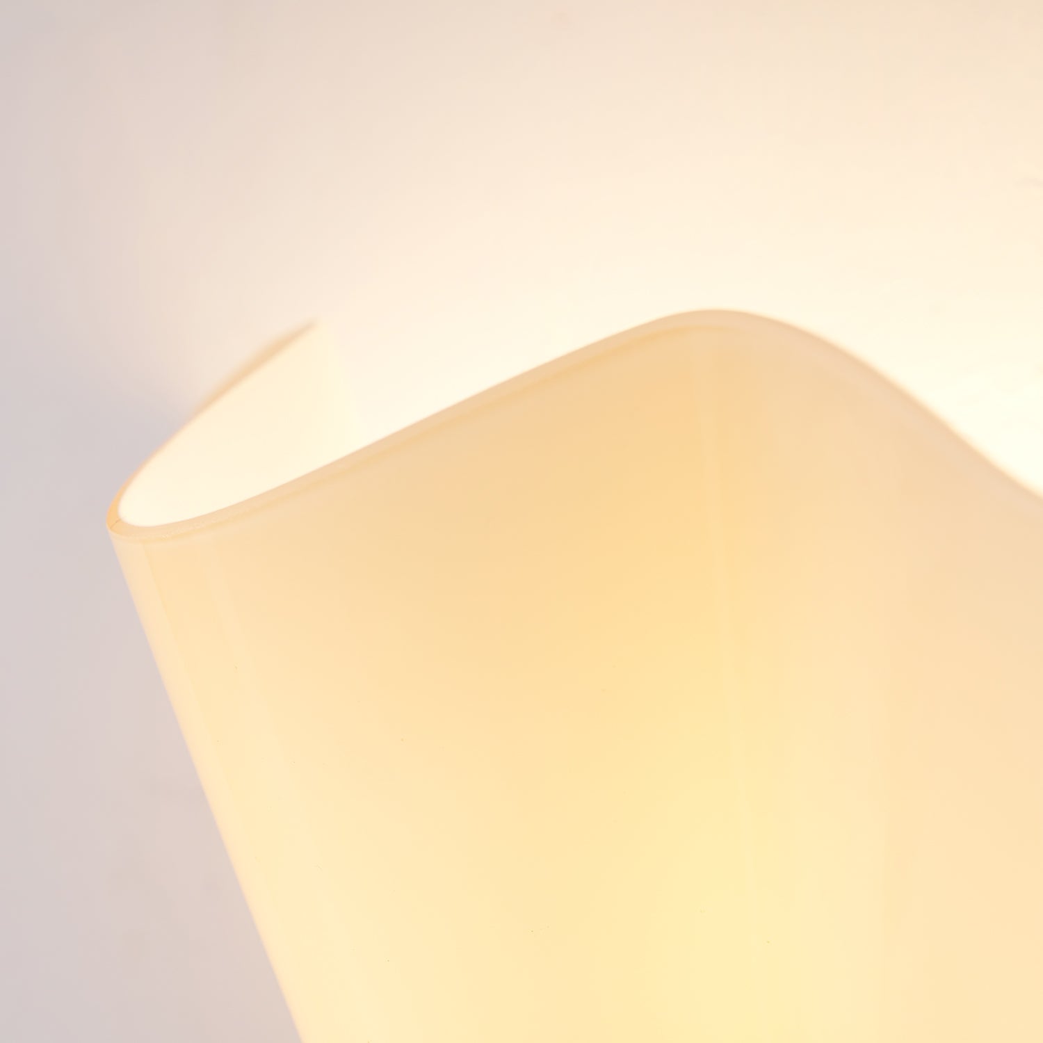 Emuna Shell shape Wall Light