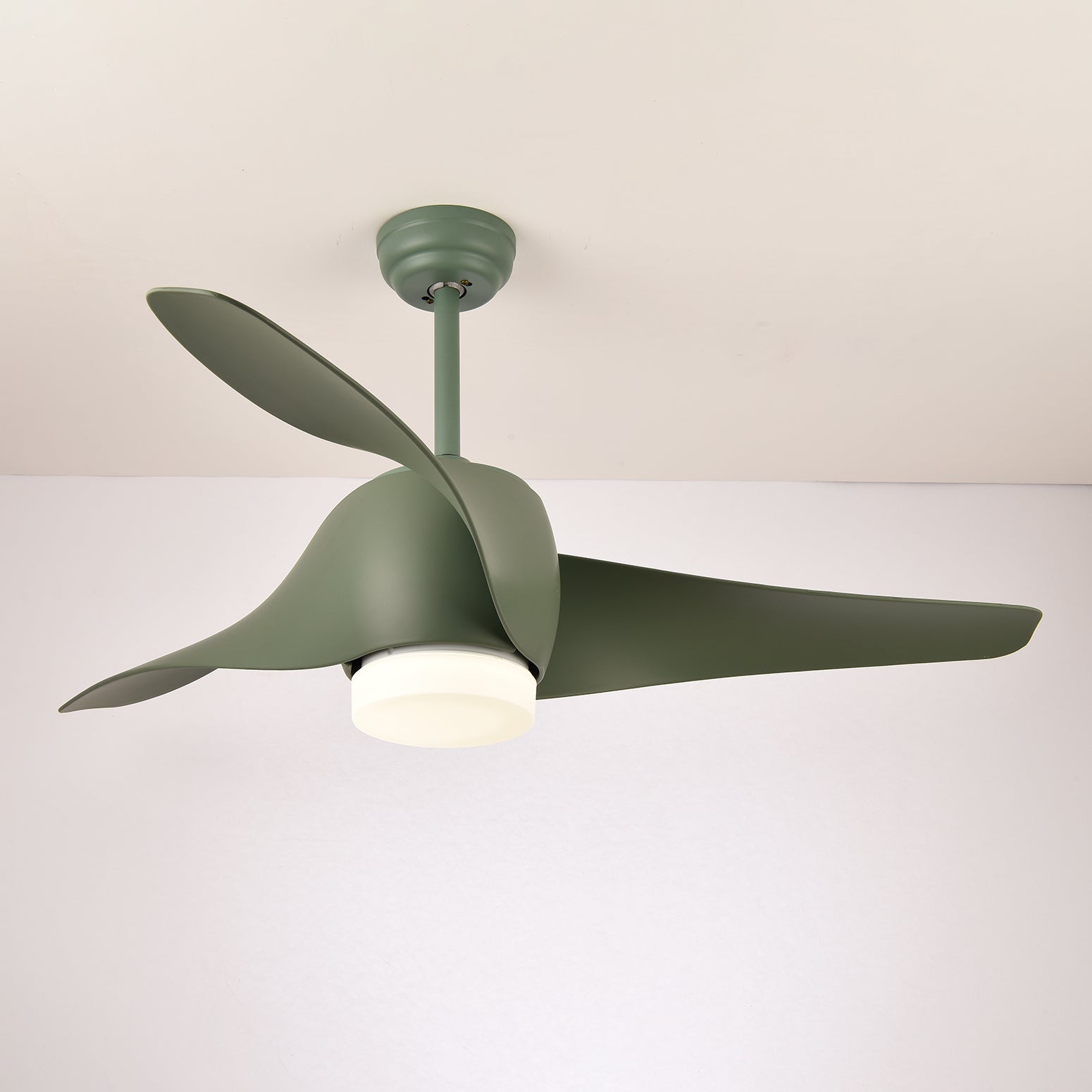 Dellyn Ceiling Fan Light