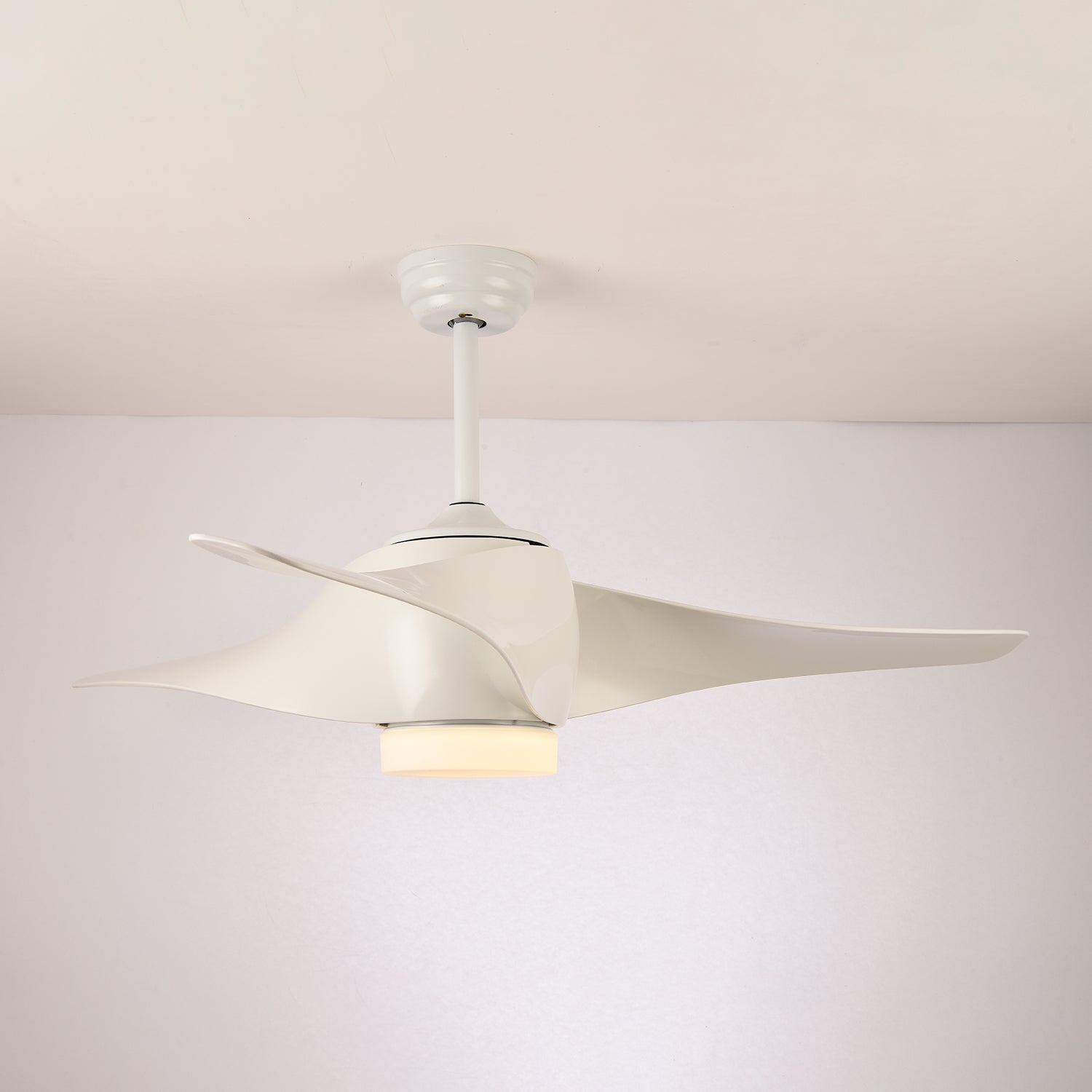 Dellyn Ceiling Fan Light