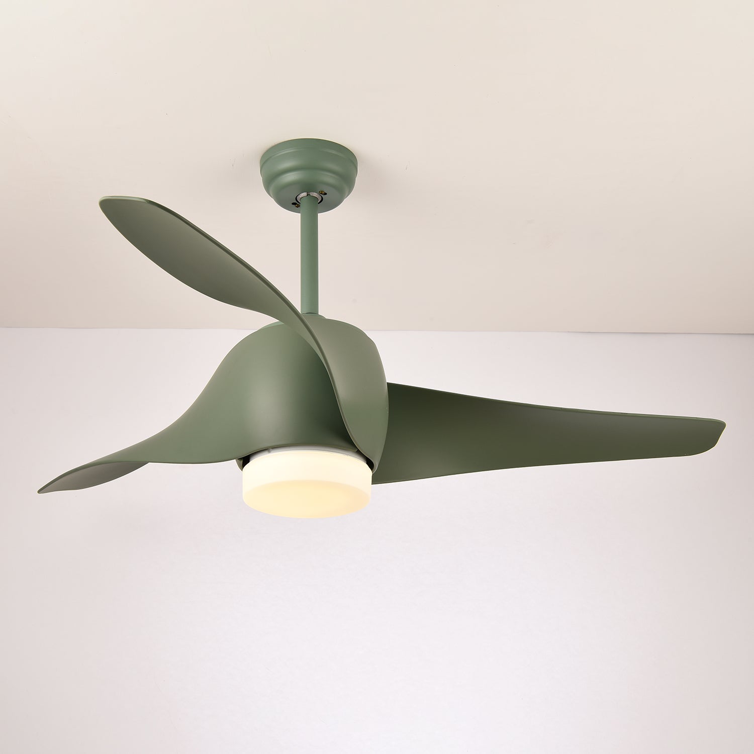 Dellyn Ceiling Fan Light