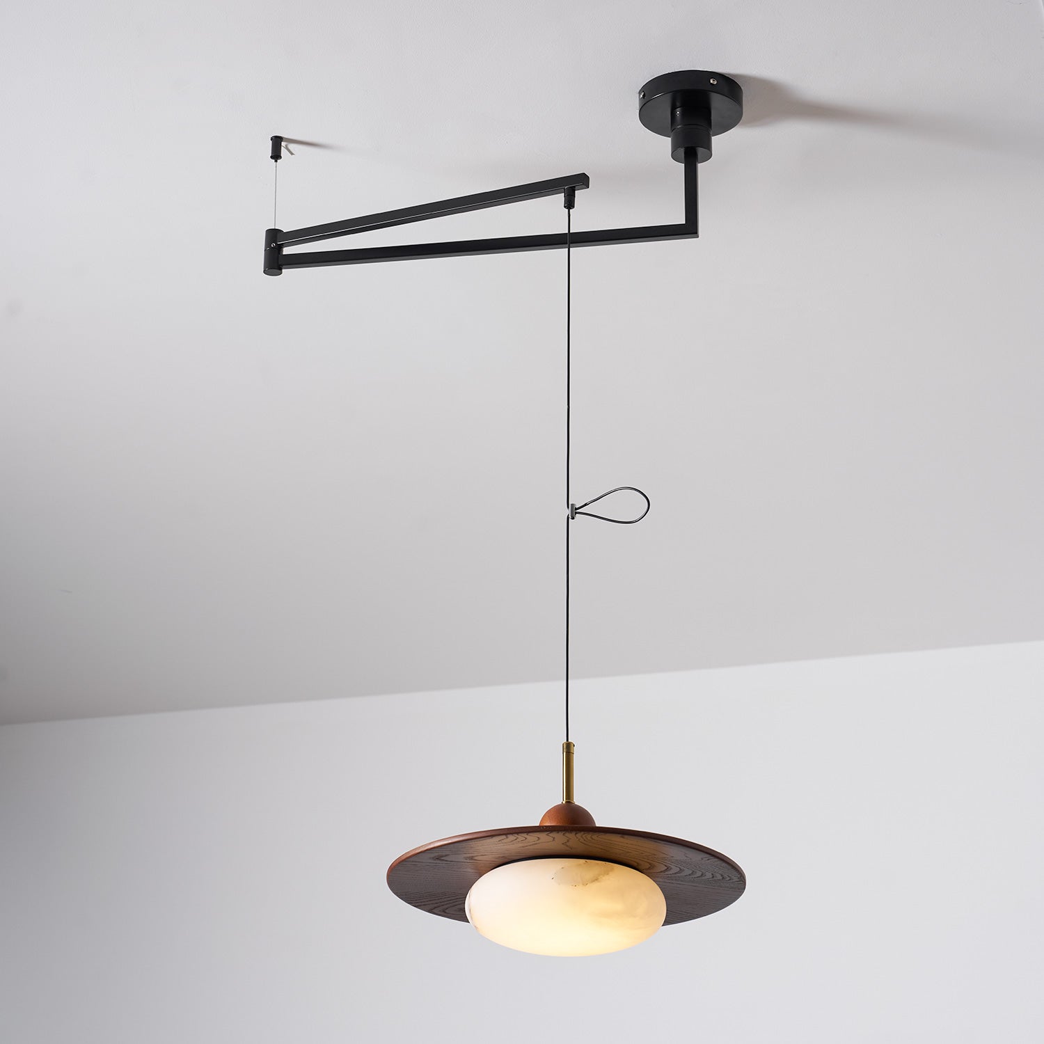 Calani Swing Arm Pendant Light