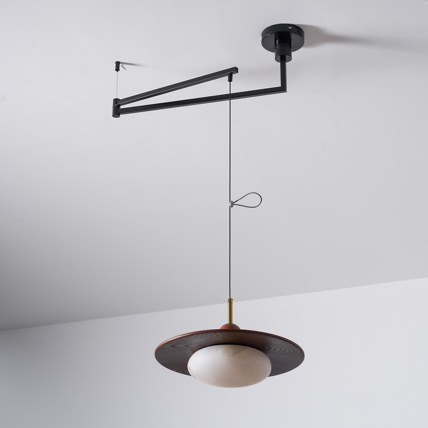 Calani Swing Arm Pendant Light
