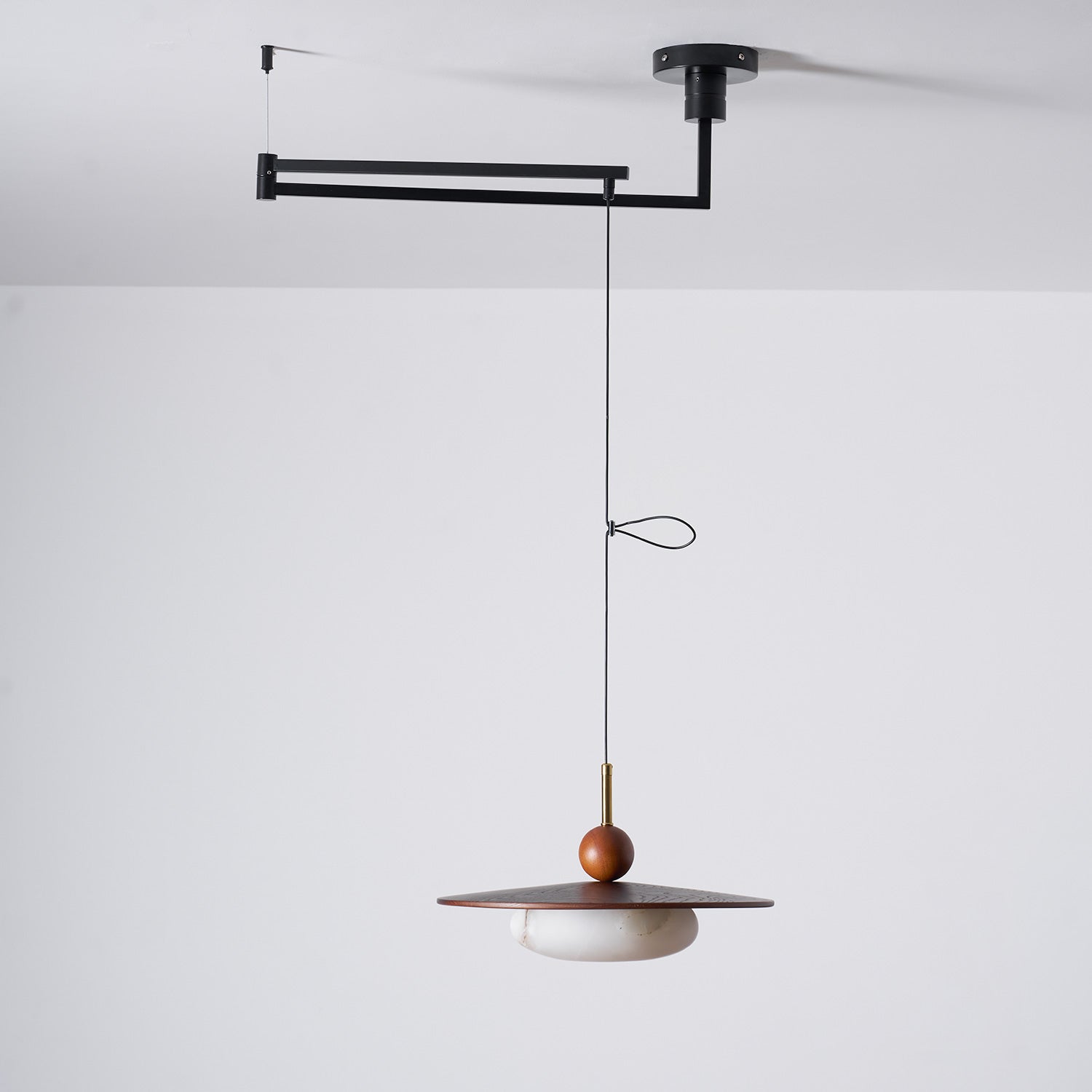 Calani Swing Arm Pendant Light