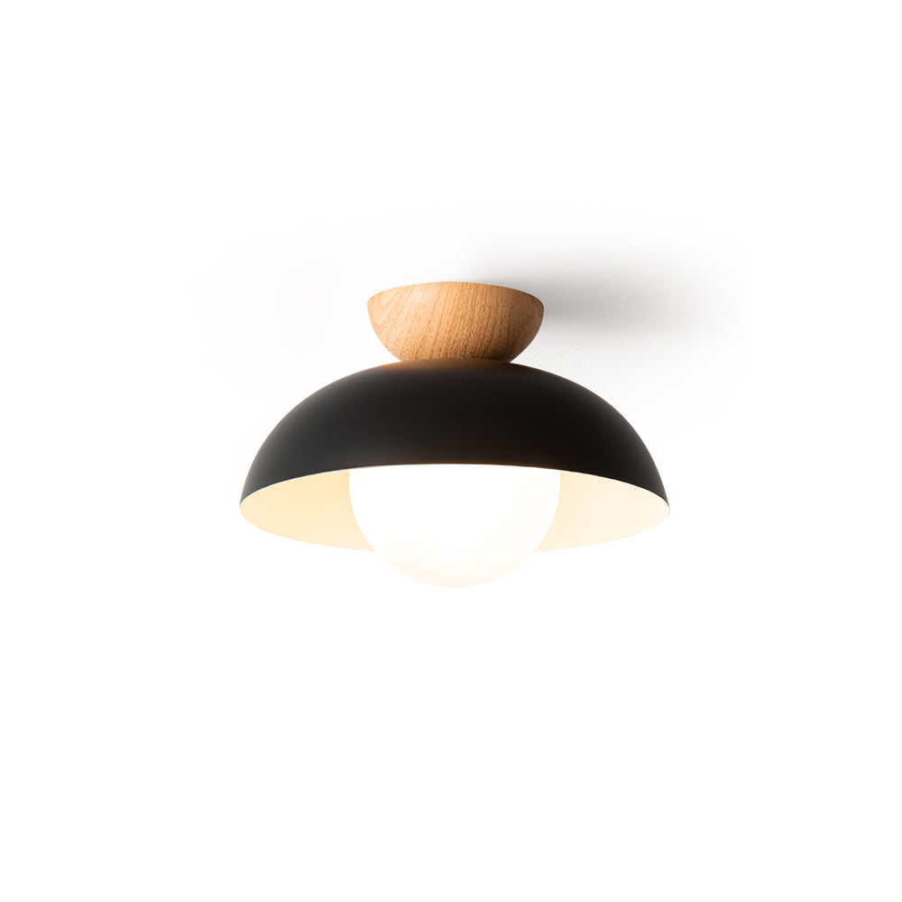 Junova Sloped Ceiling Light