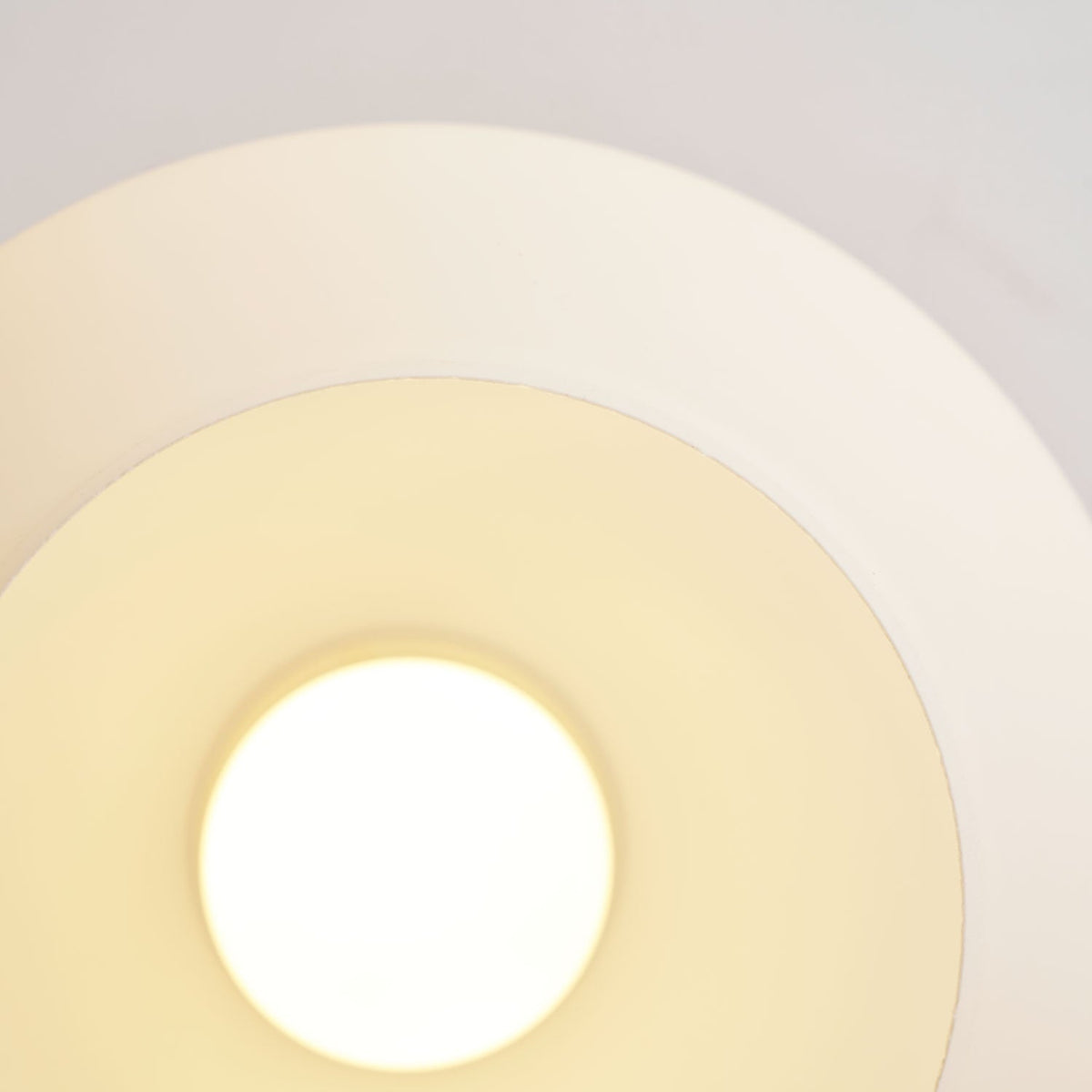 White Shell Ceiling Lamp – detail 30