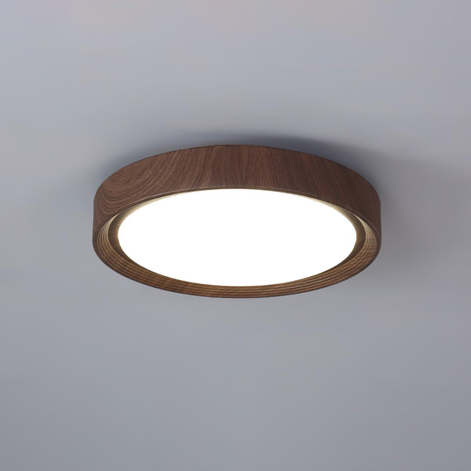 Delva Round Ceiling Light