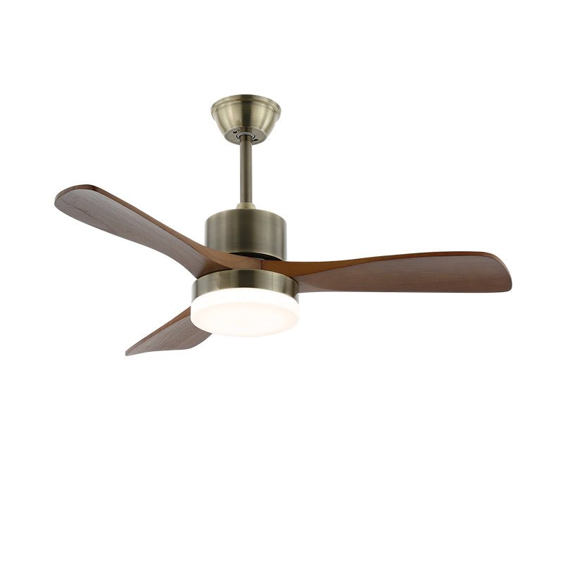 Finra Ceiling Fan Light