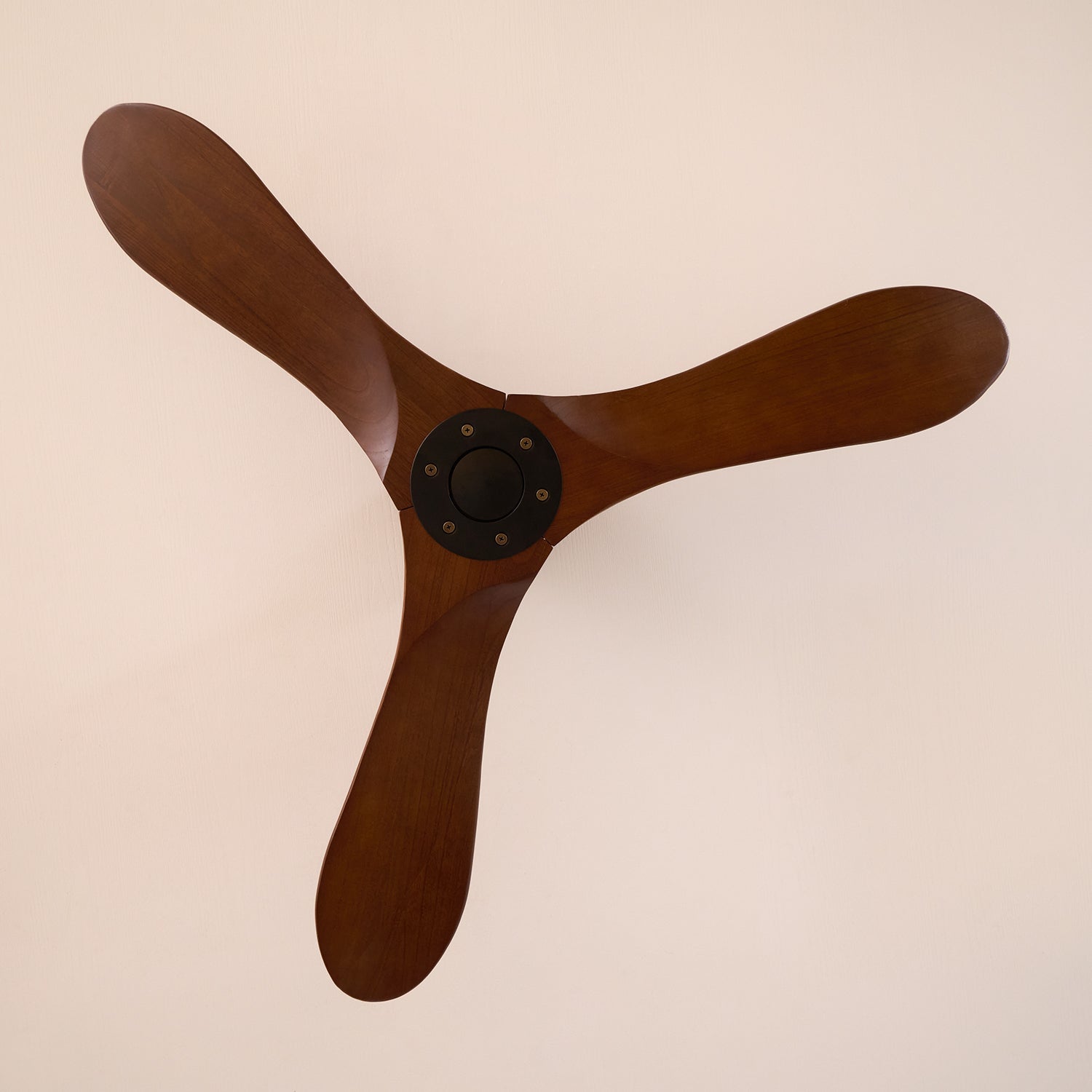 Calni Ceiling Fan
