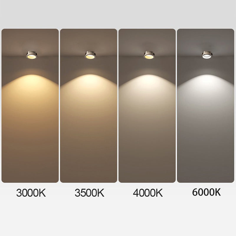 Renma Round Ceiling Light