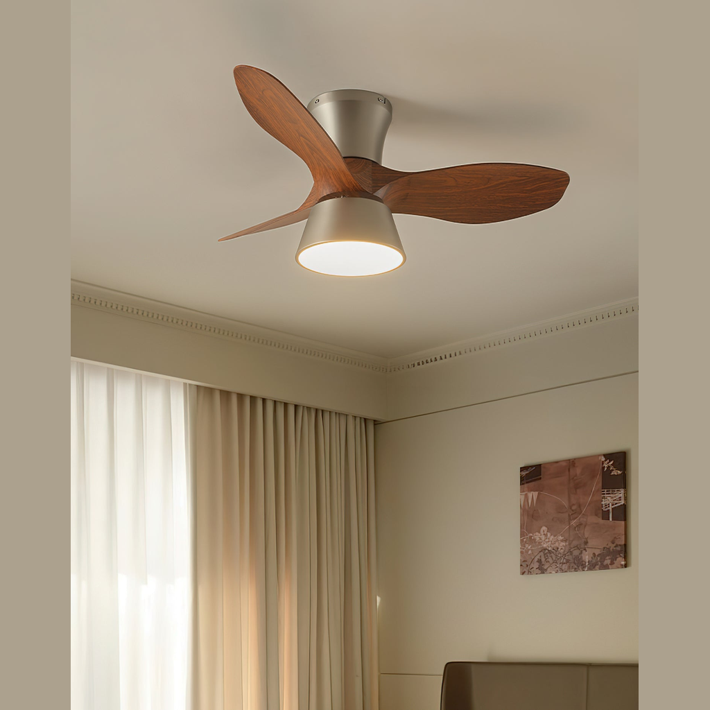 Hayvi Ceiling Fan Light