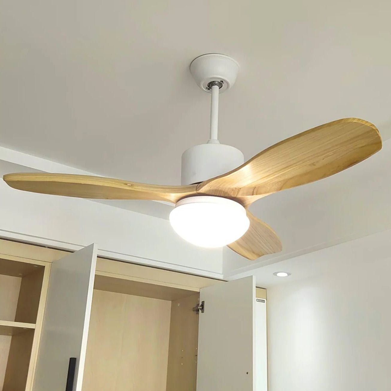 Zera Ceiling Fan Light