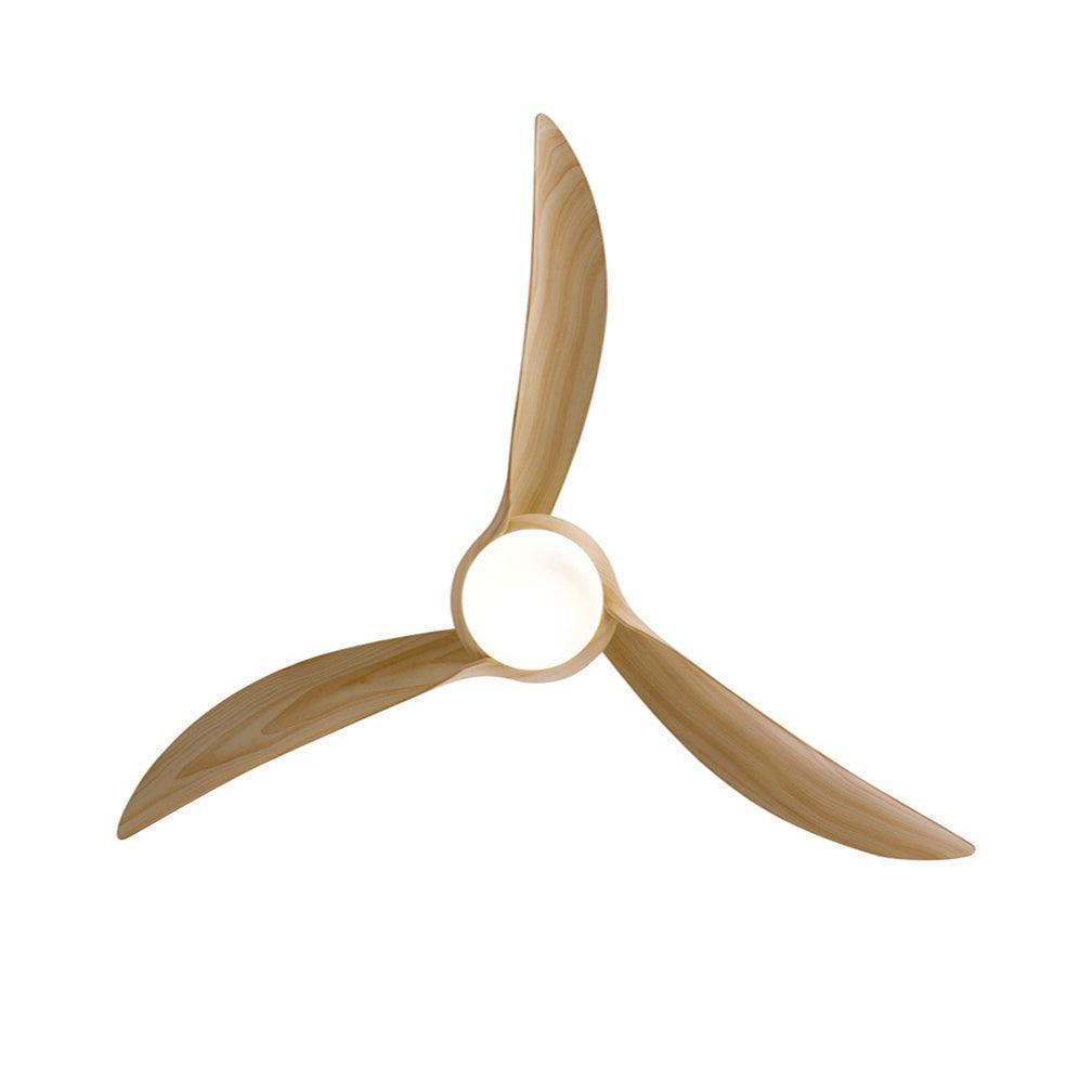 Elinor Ceiling Fan Light