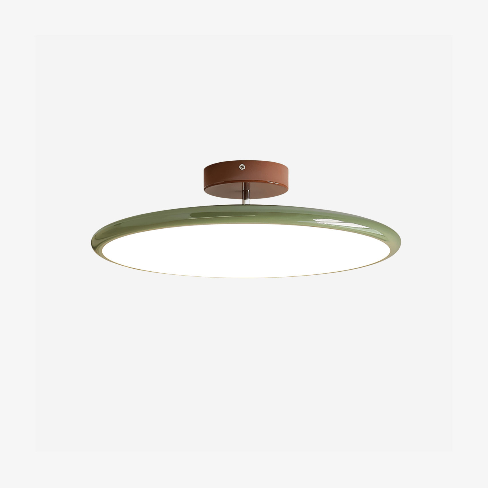 Rioas Adjustable Ceiling Light