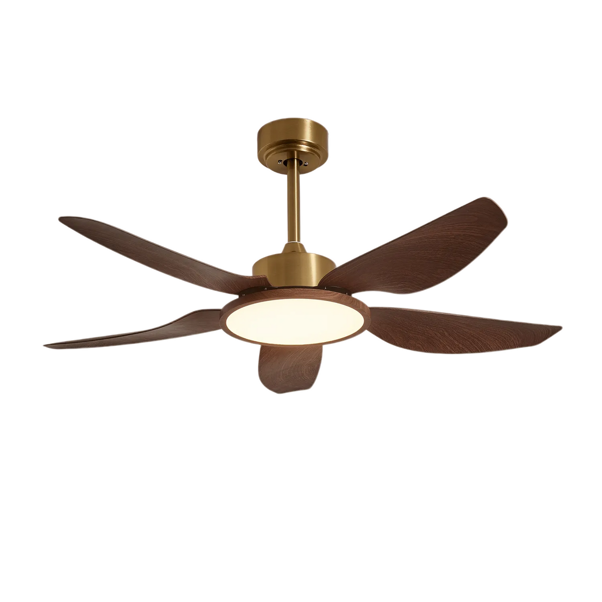 Caselen Ceiling Fan Light