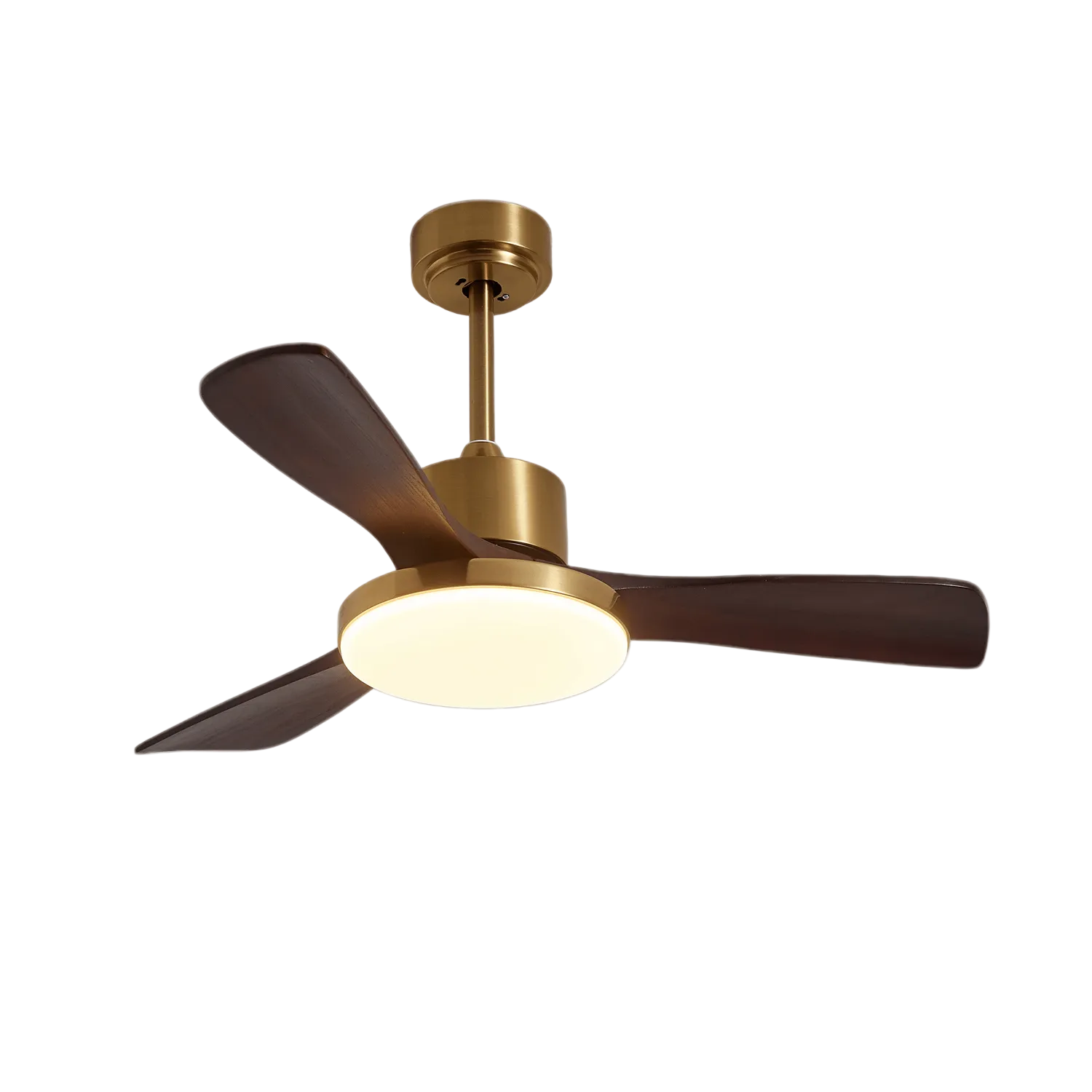 Virova Ceiling Fan Light