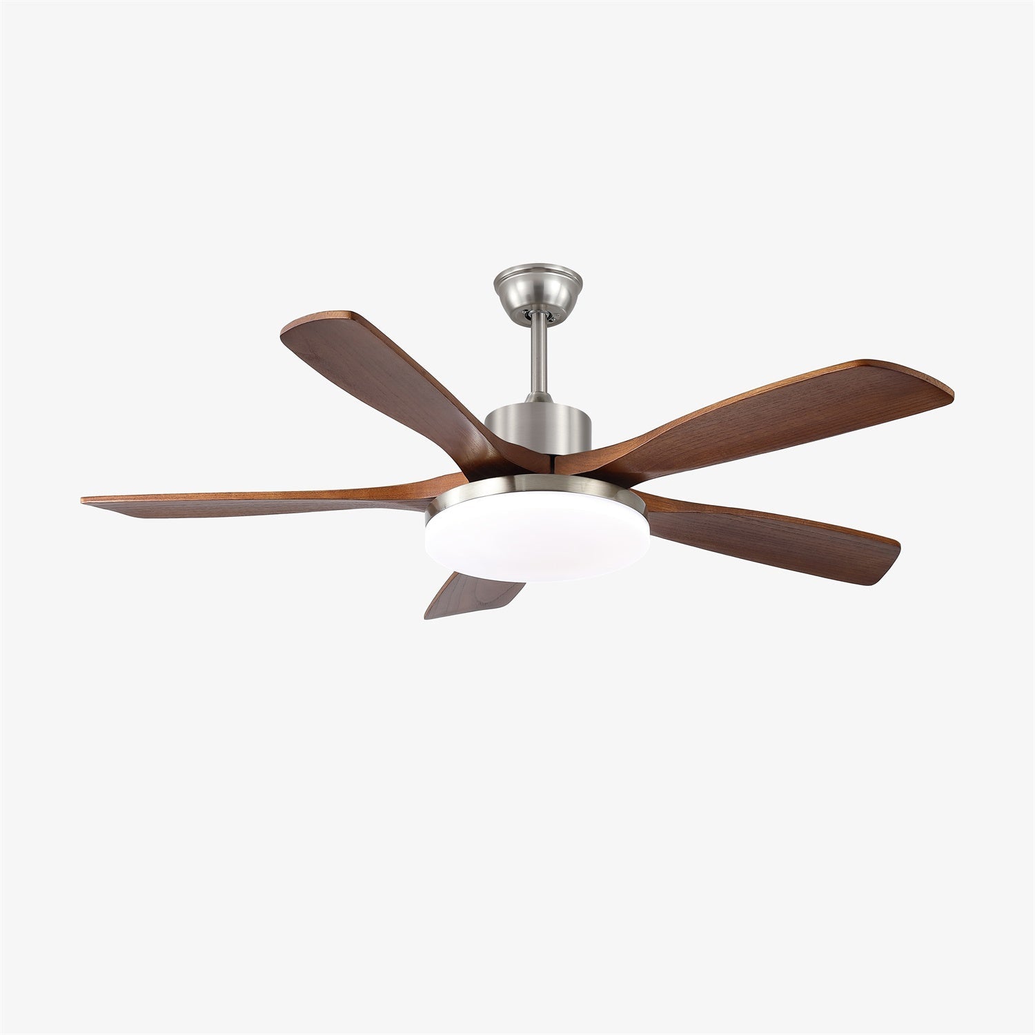 Renelum Ceiling Fan Light