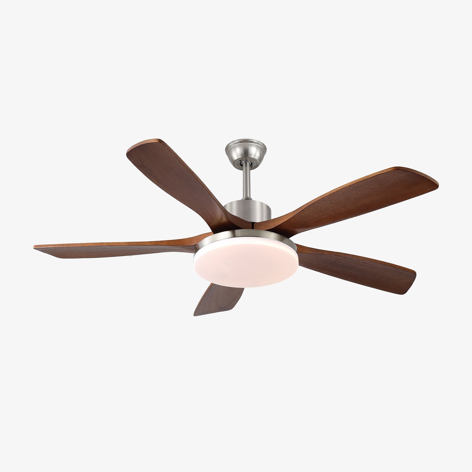 Renelum Ceiling Fan Light