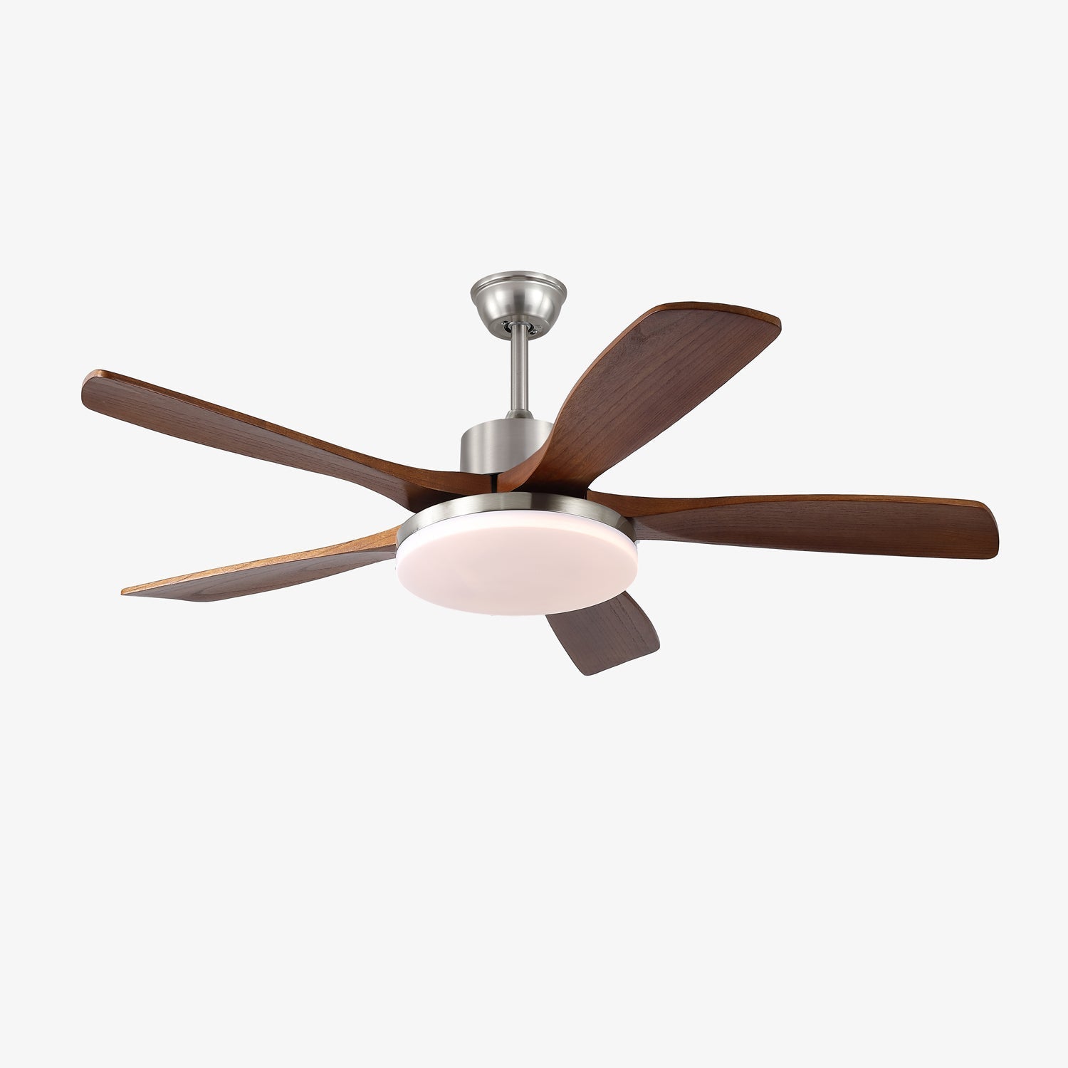 Renelum Ceiling Fan Light