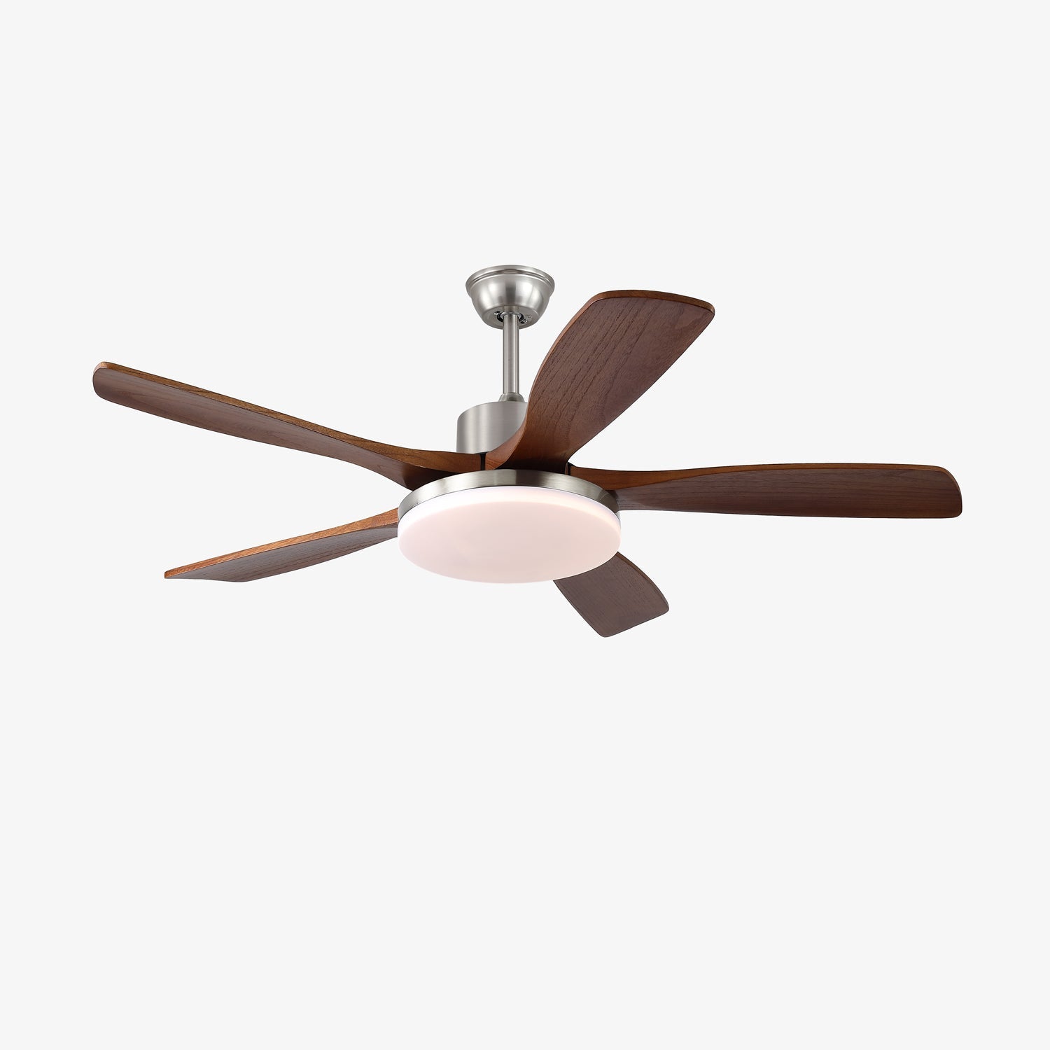 Renelum Ceiling Fan Light