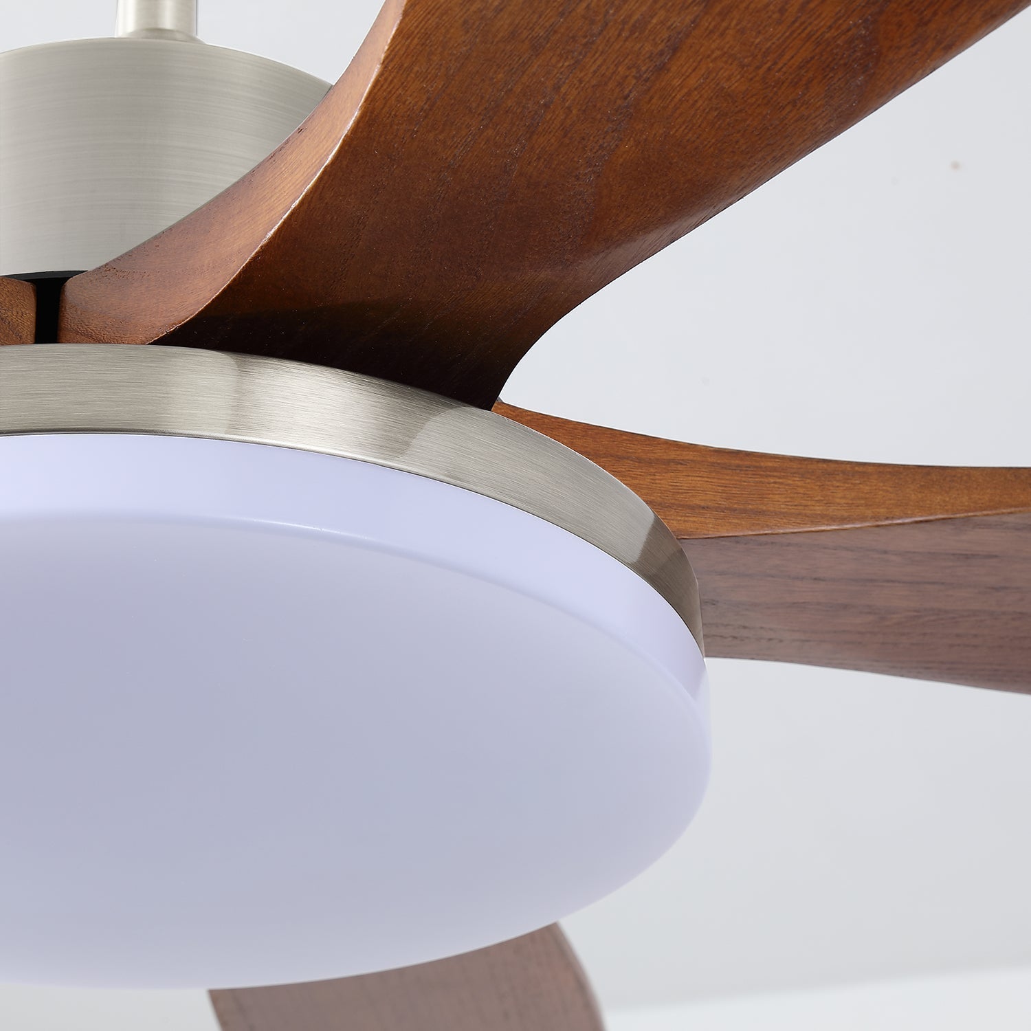 Renelum Ceiling Fan Light