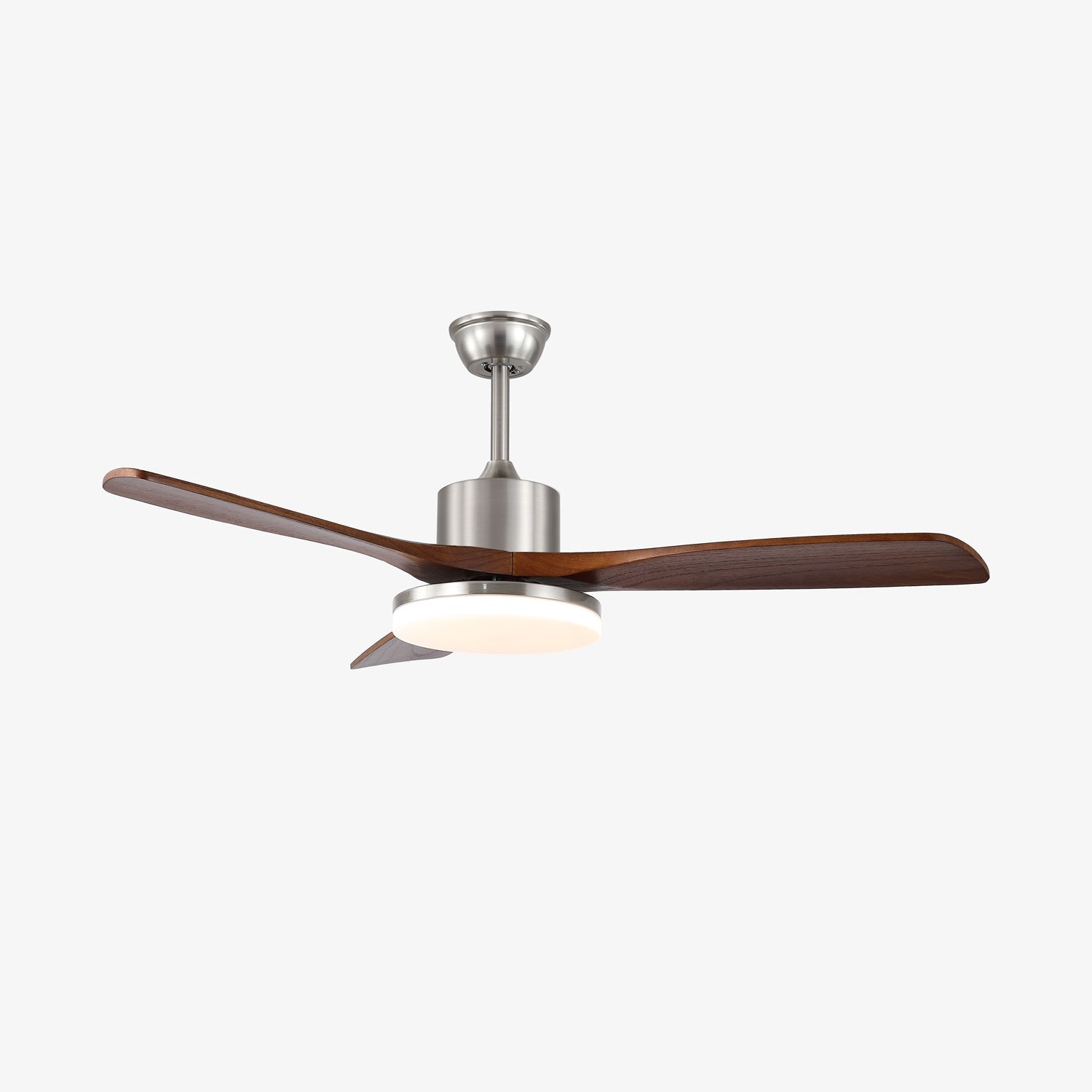 Renelum Ceiling Fan Light