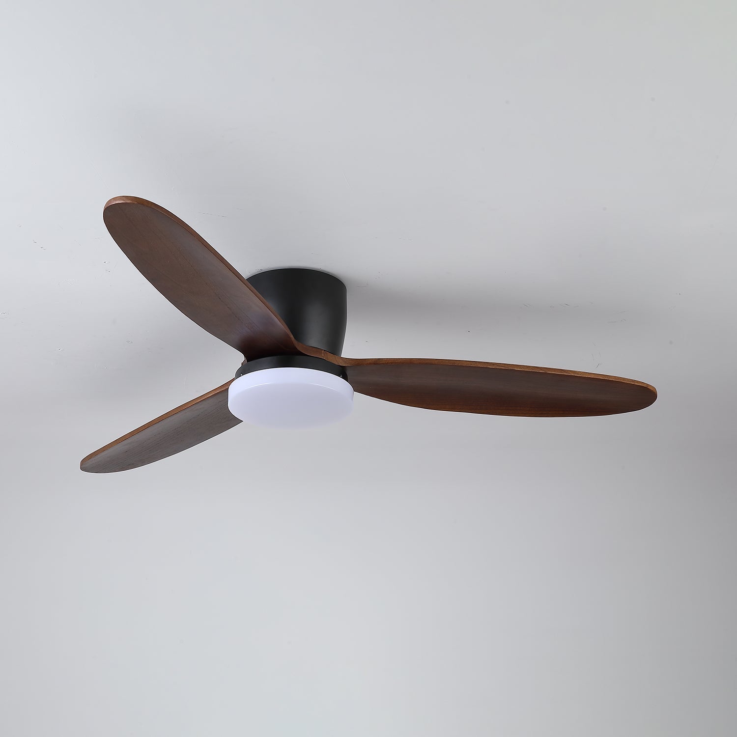 Evenlor Ceiling Fan Light