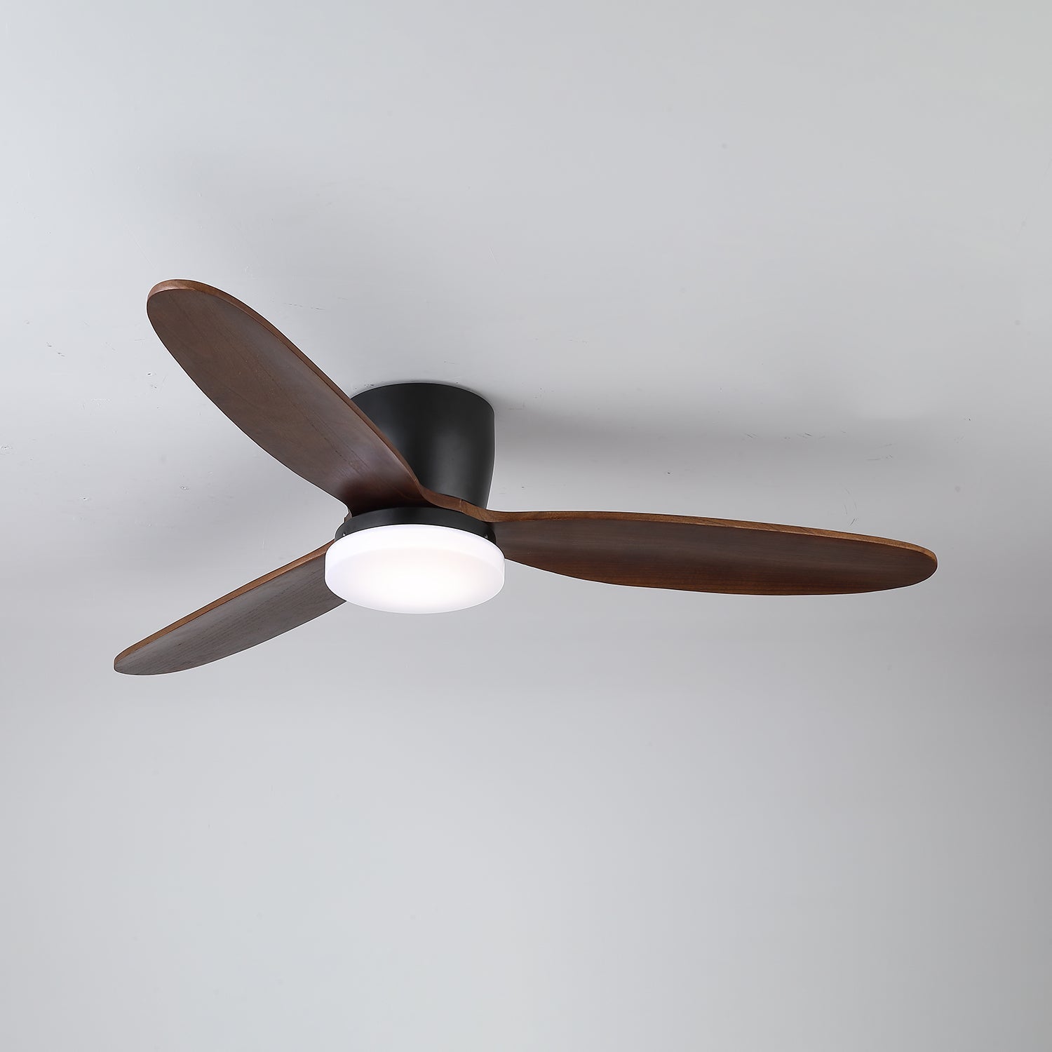 Evenlor Ceiling Fan Light